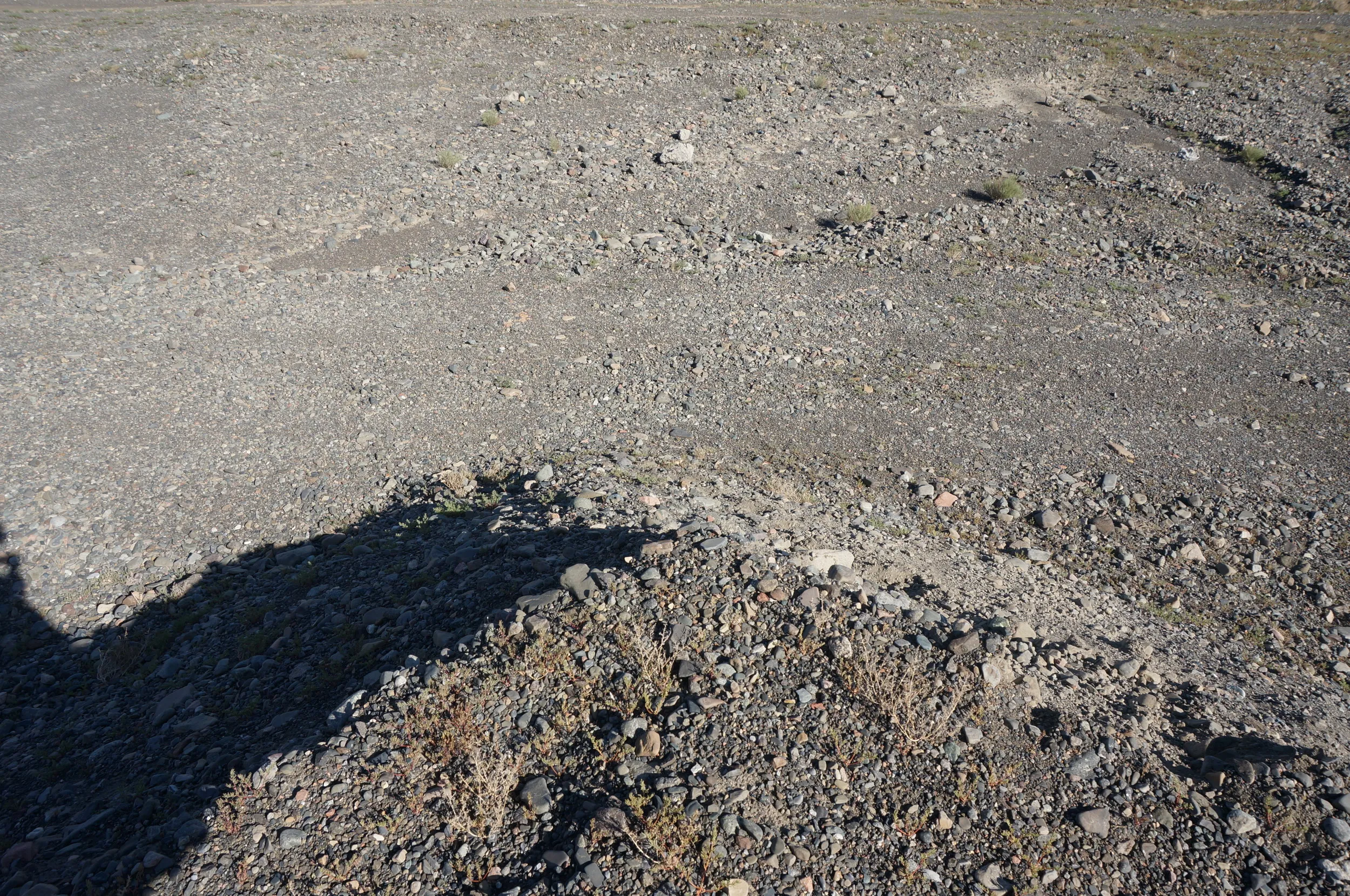 砂漠地帯を散歩