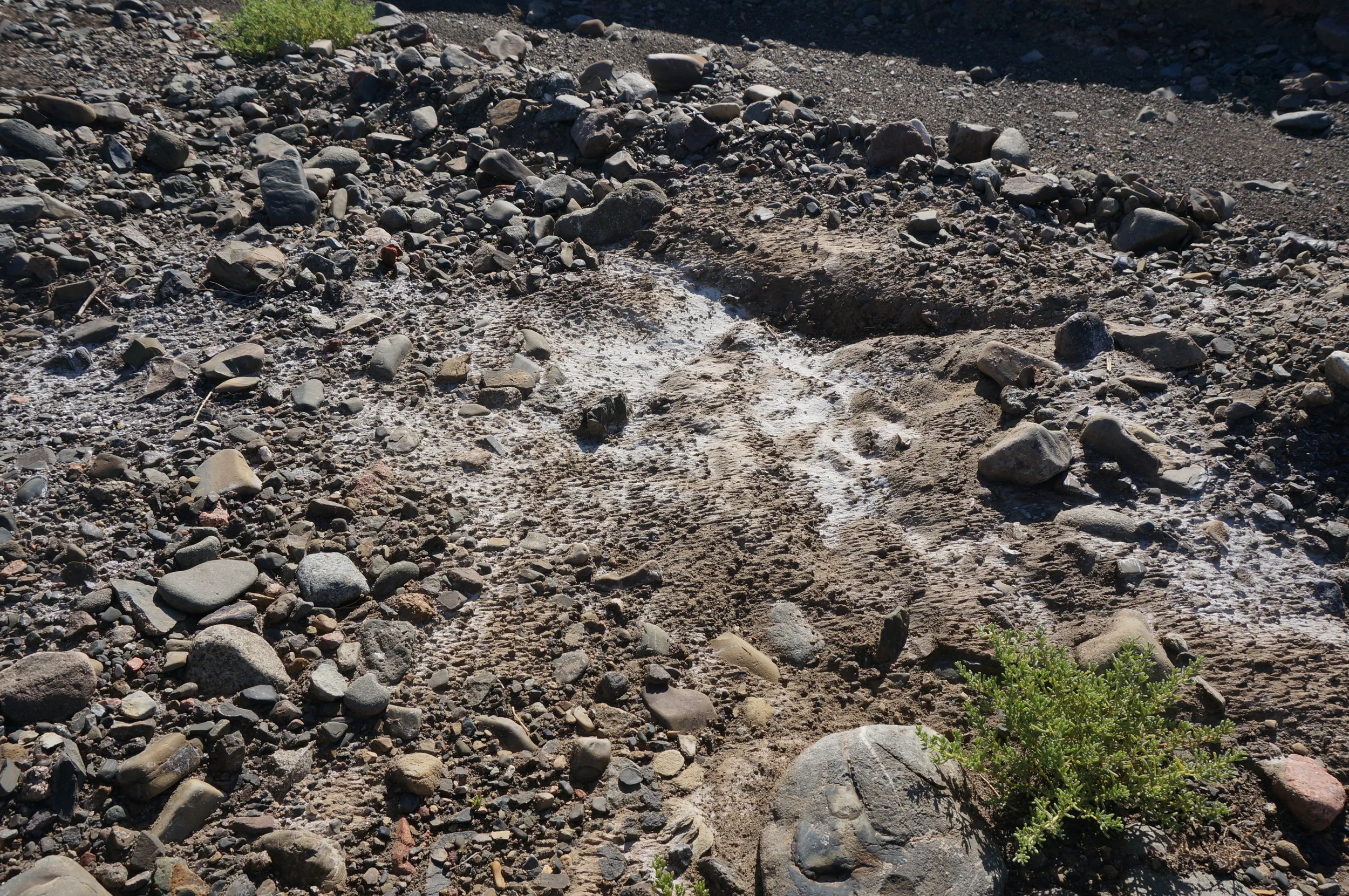 砂漠地帯を散歩