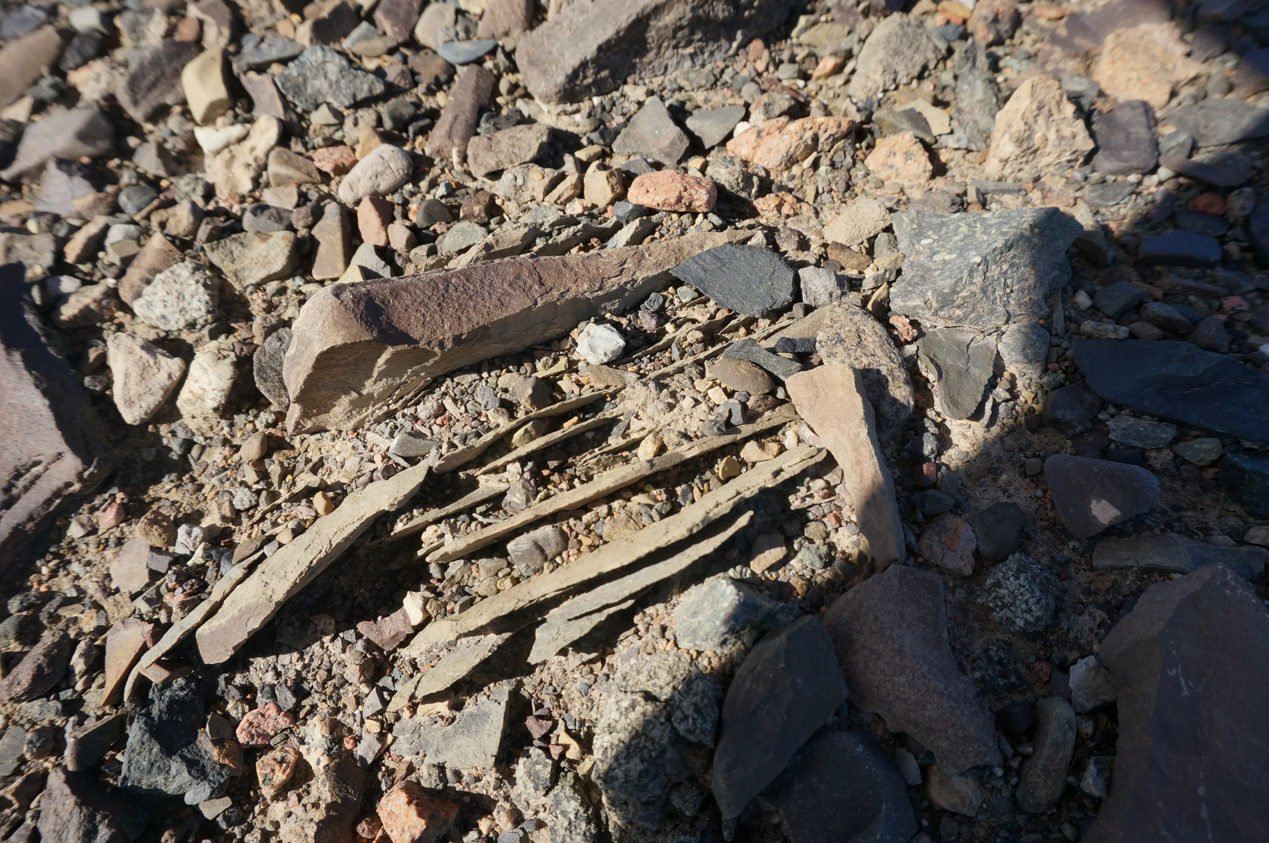 砂漠地帯を散歩