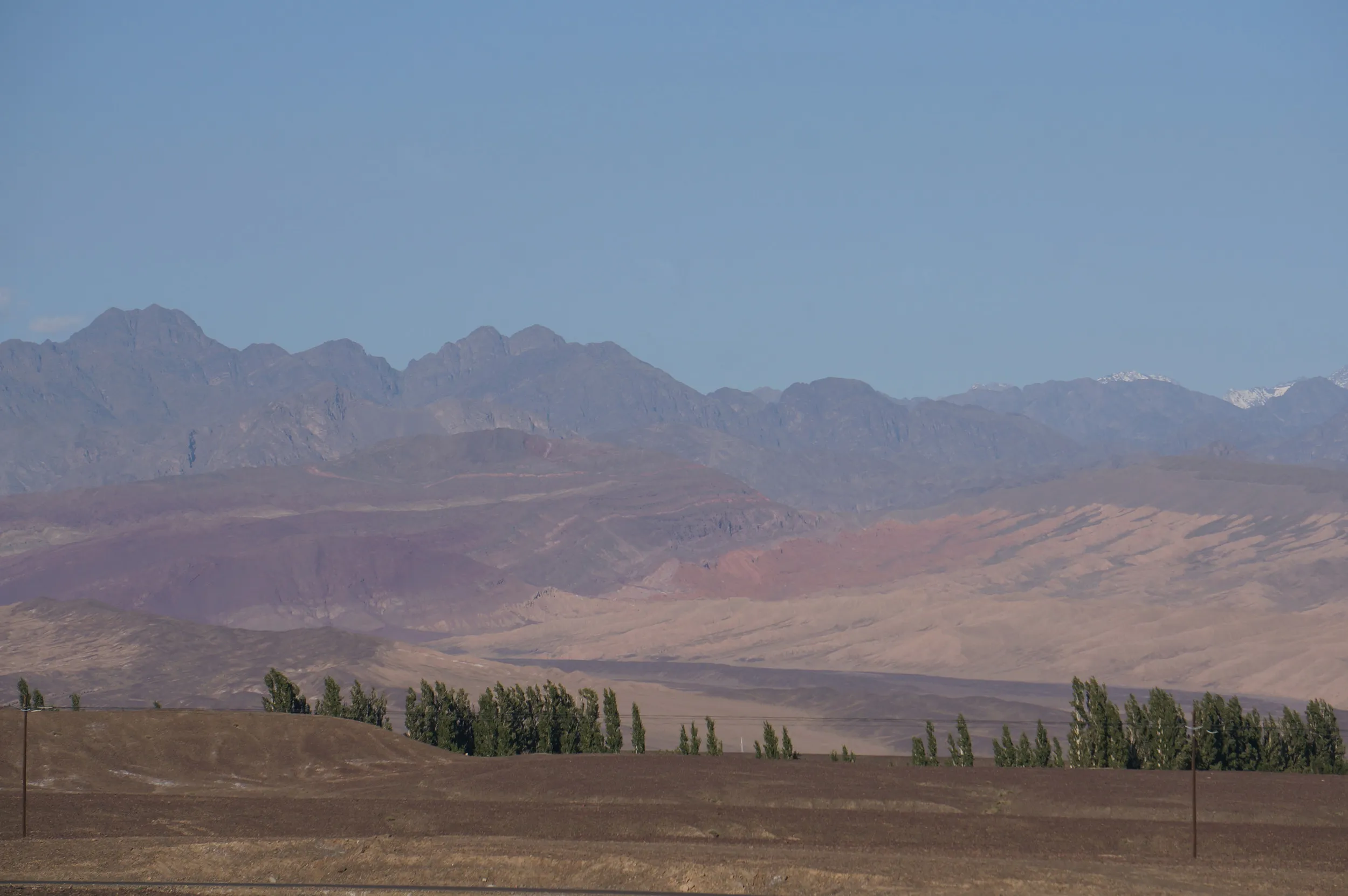砂漠地帯を散歩