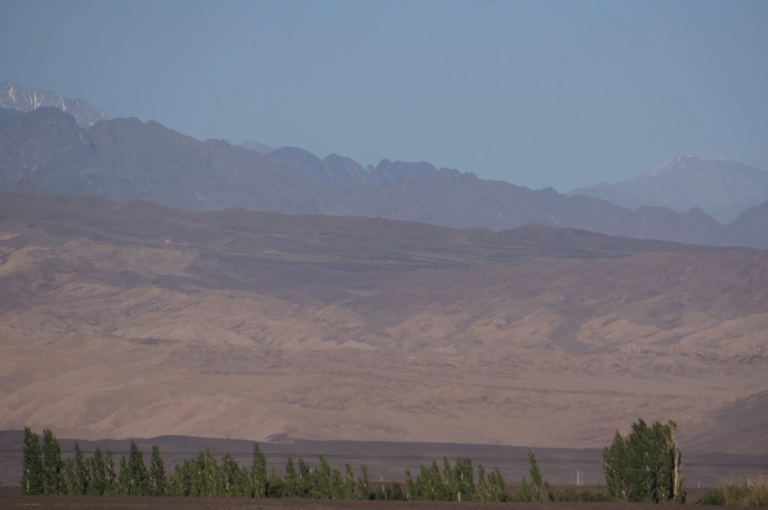 砂漠地帯を散歩