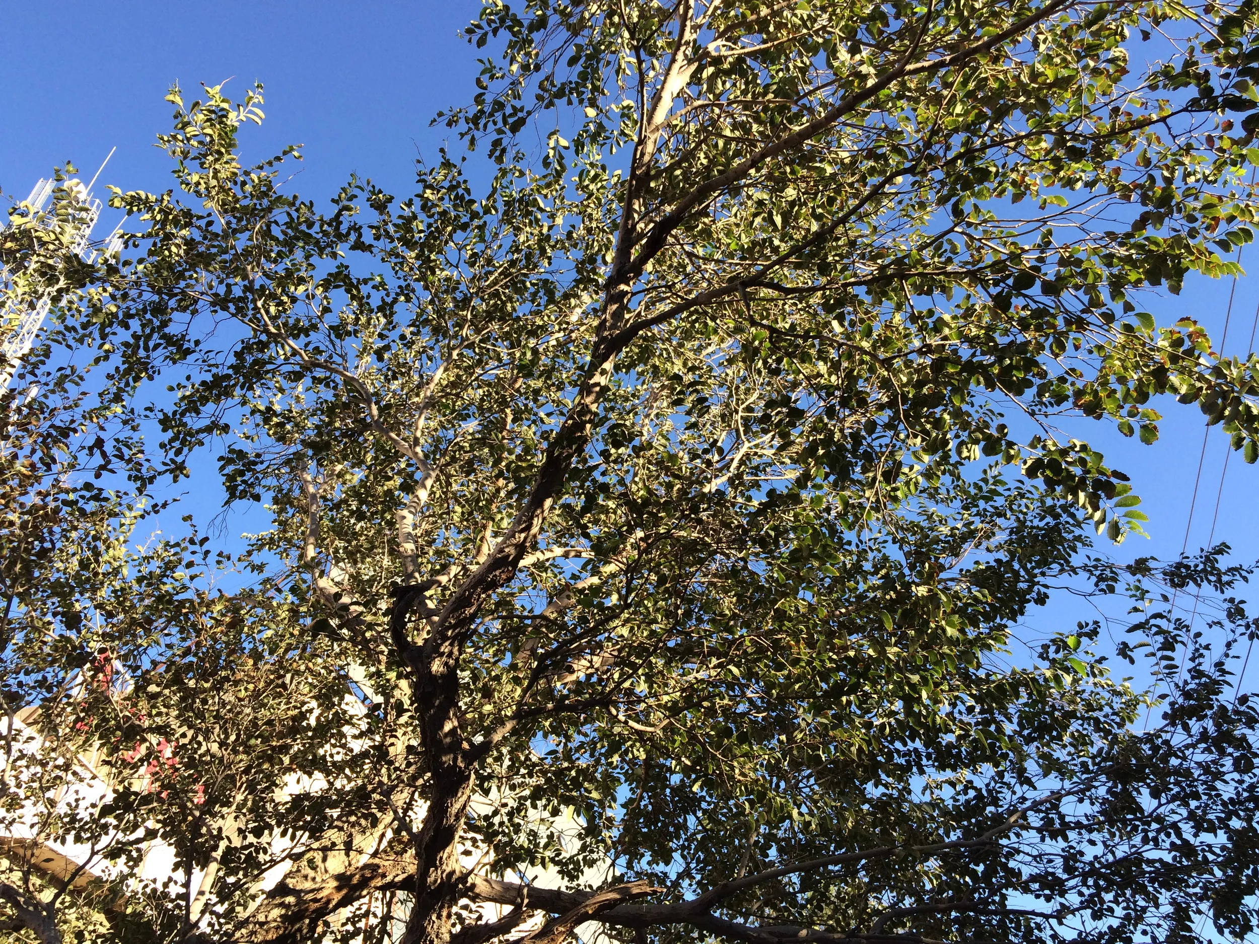 大河沿鎮へ生還