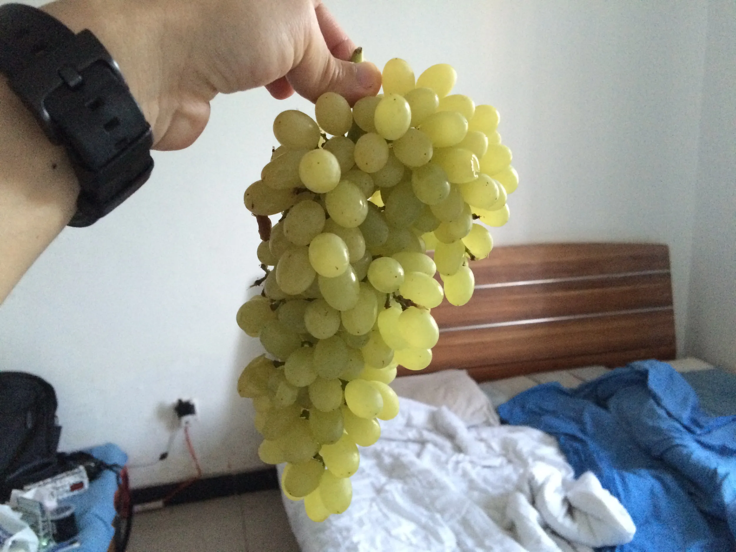 大河沿鎮へ生還