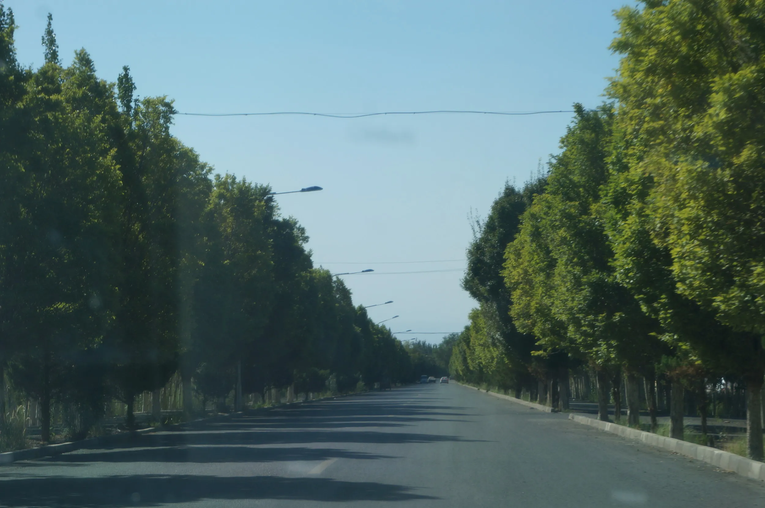 大河沿鎮から交河故城へ向け出発