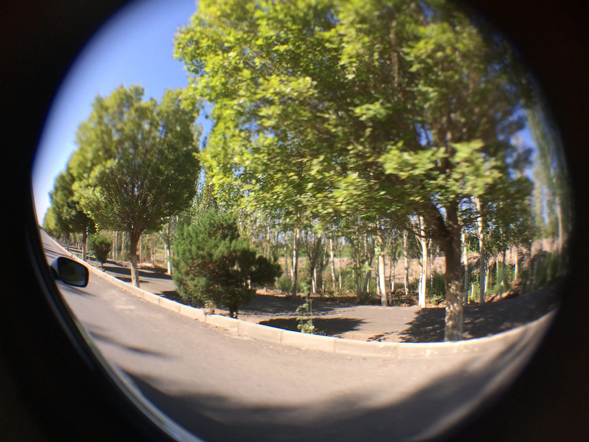 大河沿鎮から交河故城へ向け出発