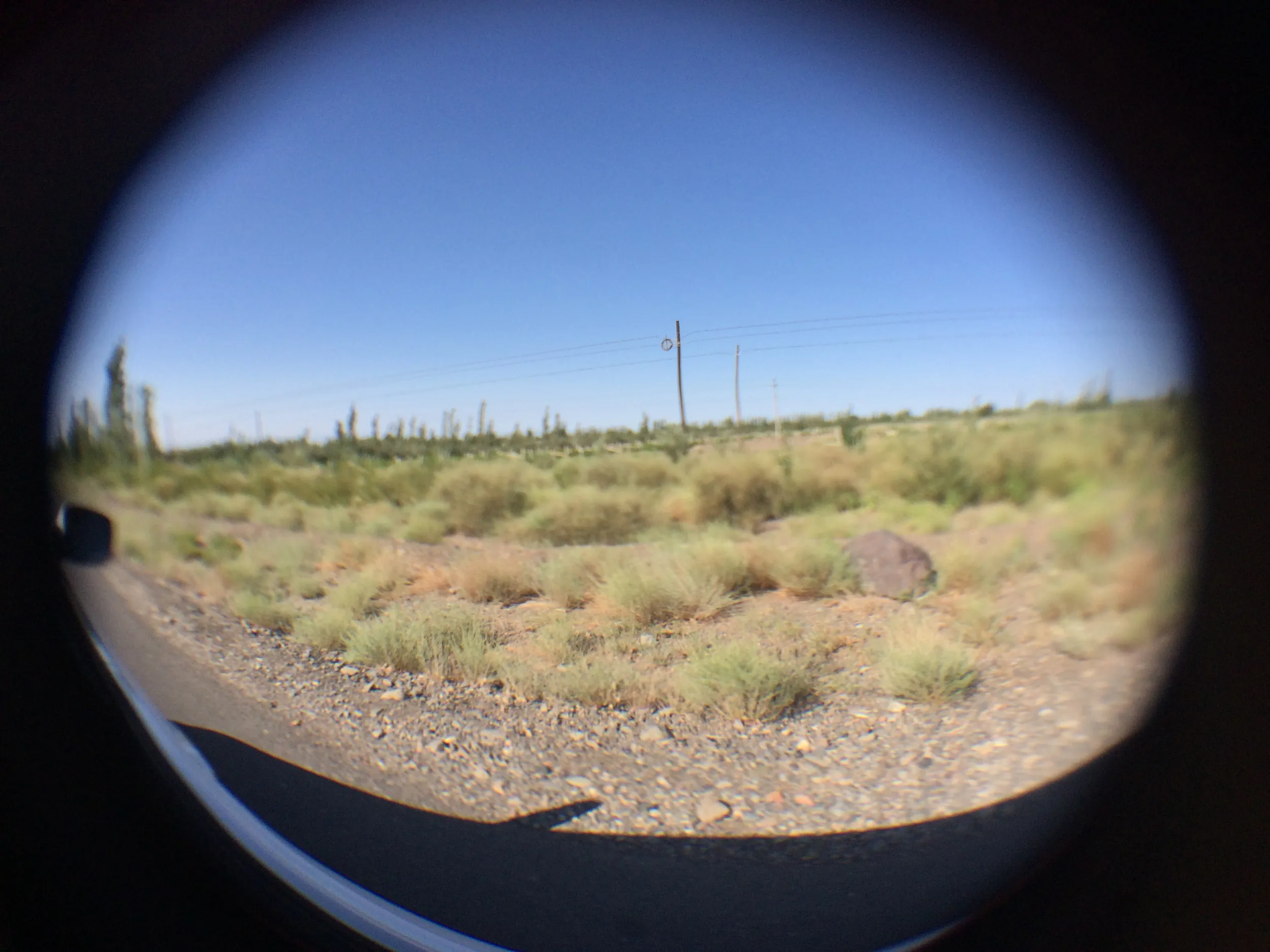 大河沿鎮から交河故城へ向け出発