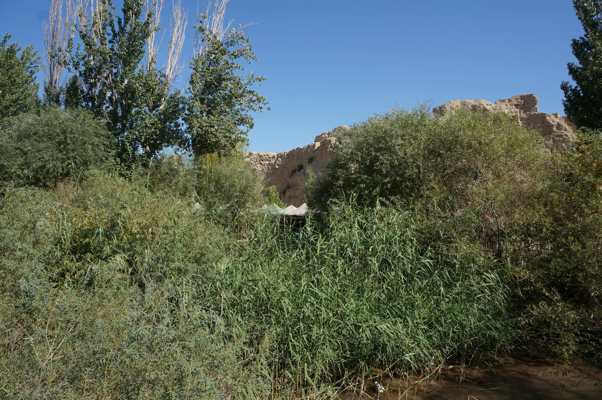 交河故城を観光