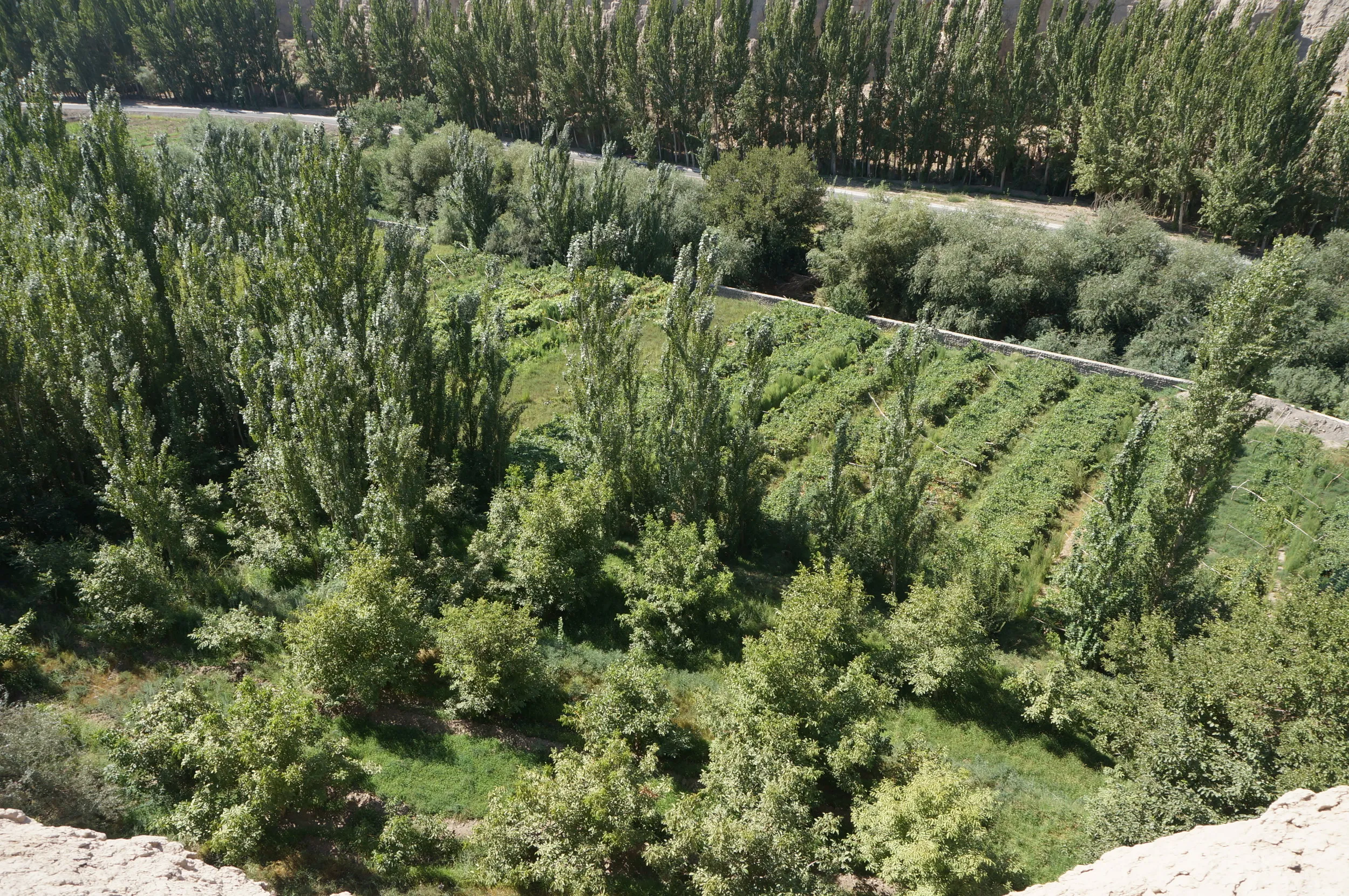 交河故城を観光