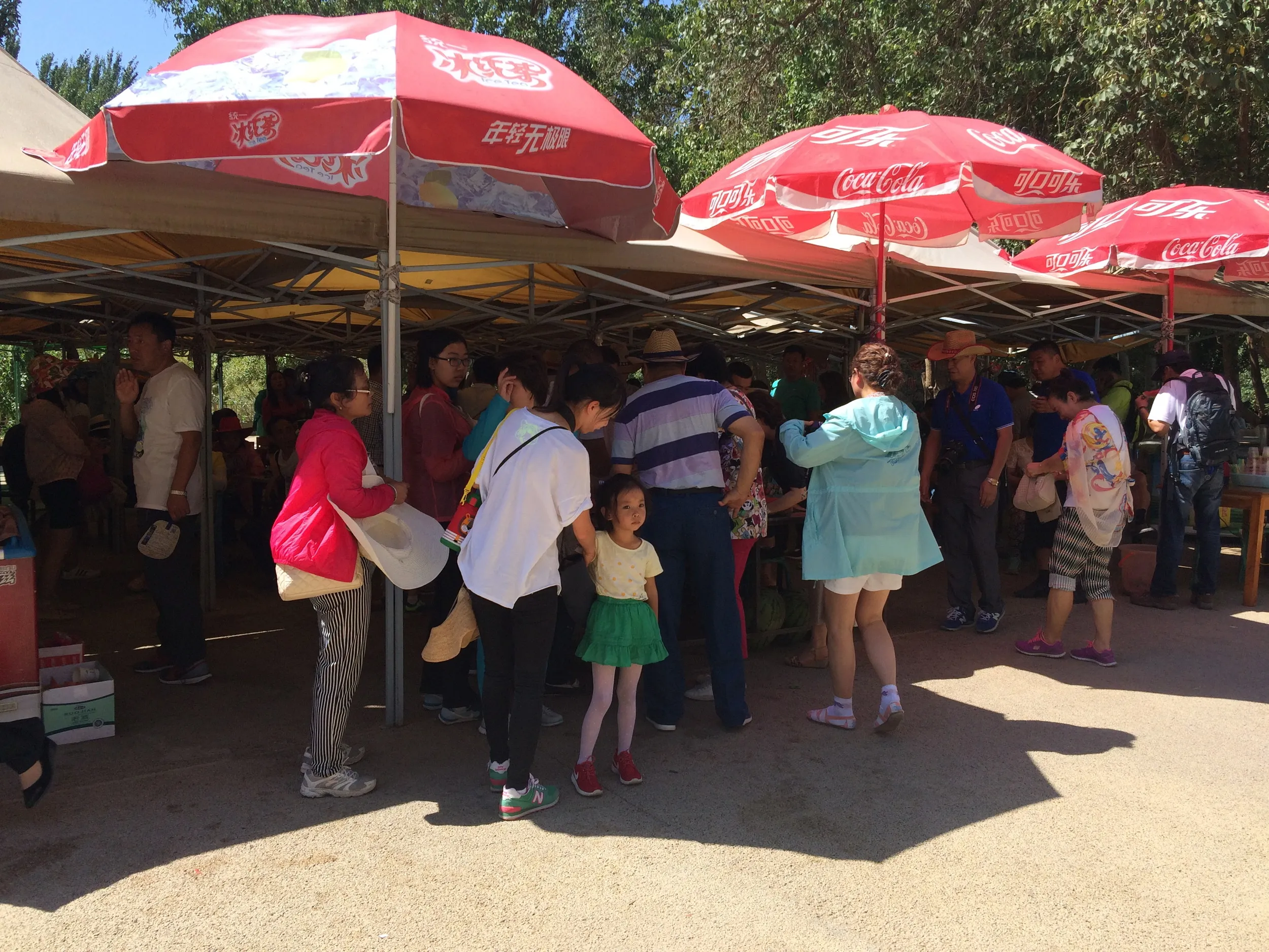 交河故城を観光