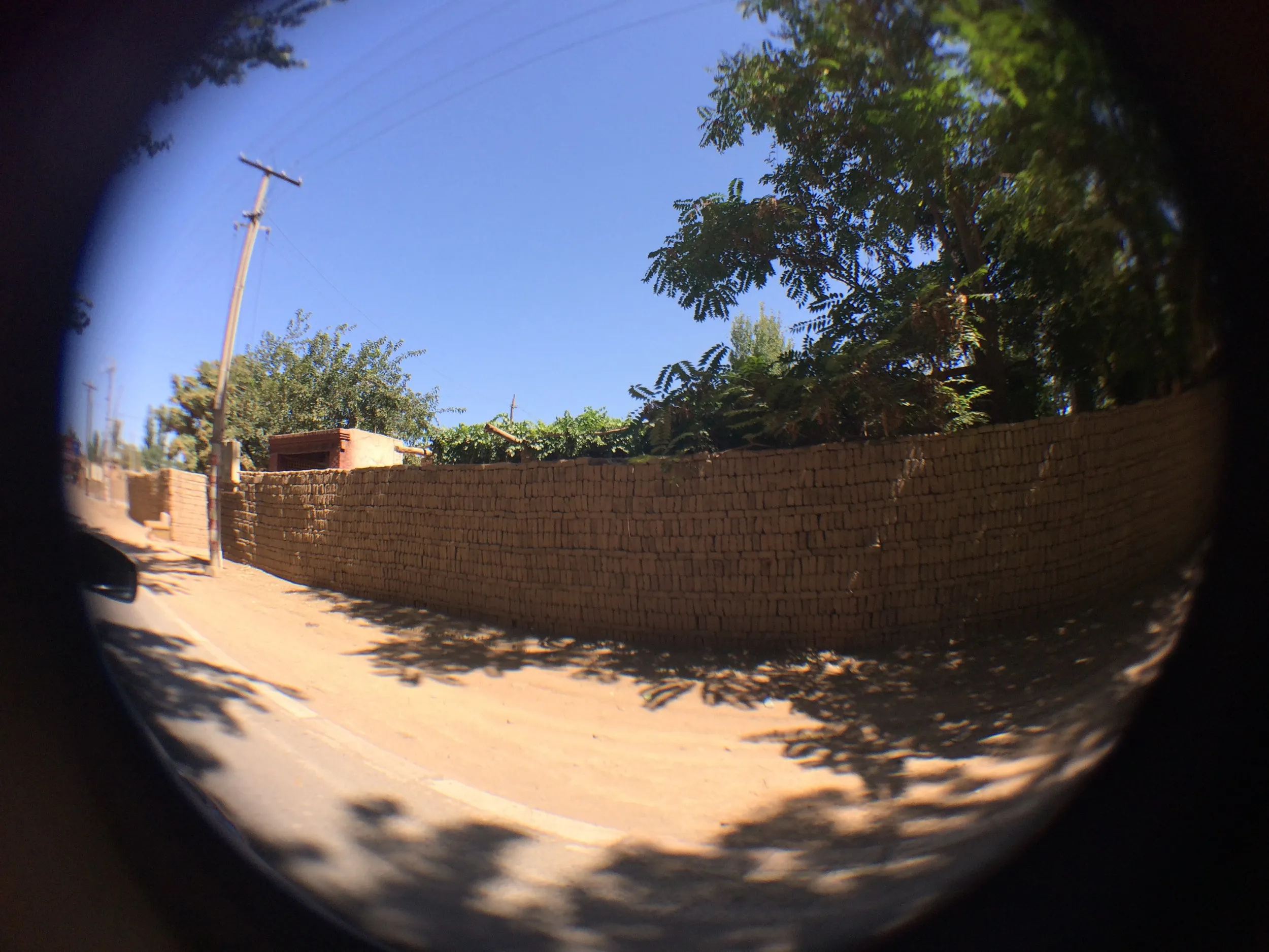 交河故城を観光