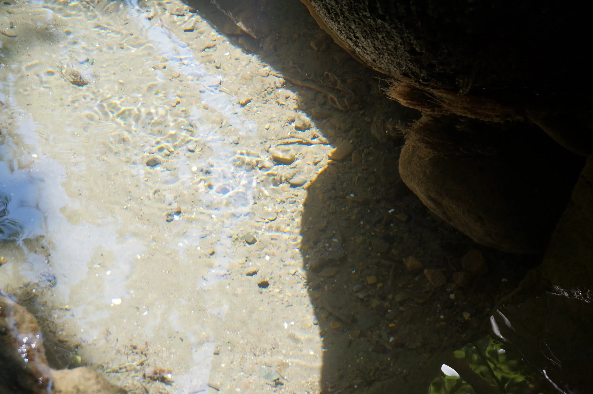 カレーズ楽園の風景