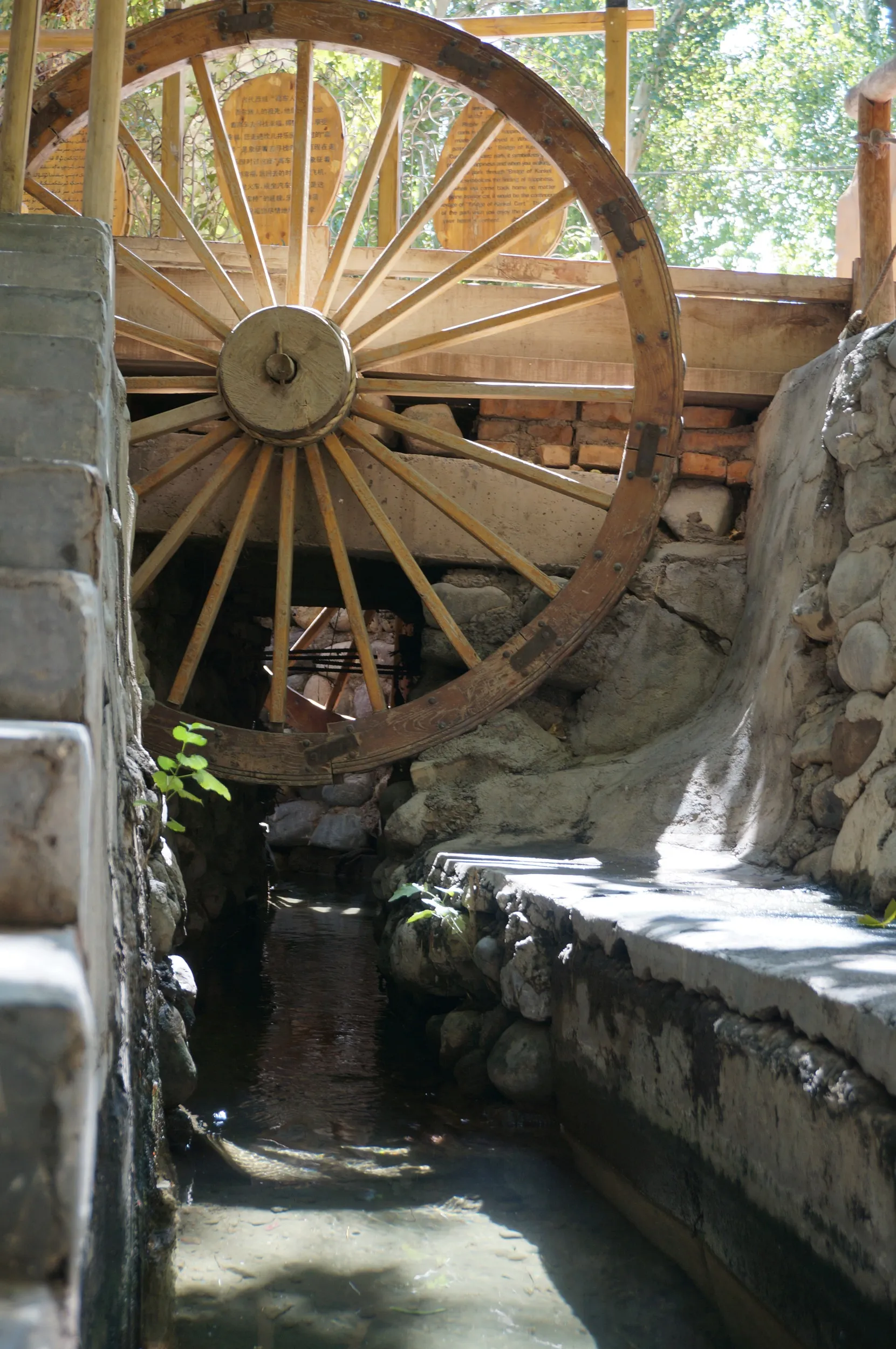 カレーズ楽園の風景