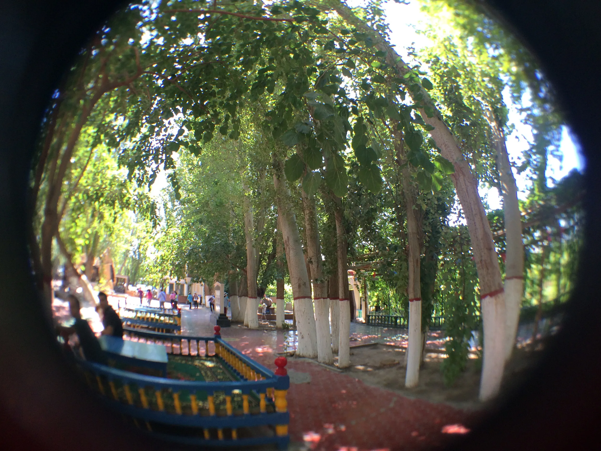 カレーズ楽園の風景