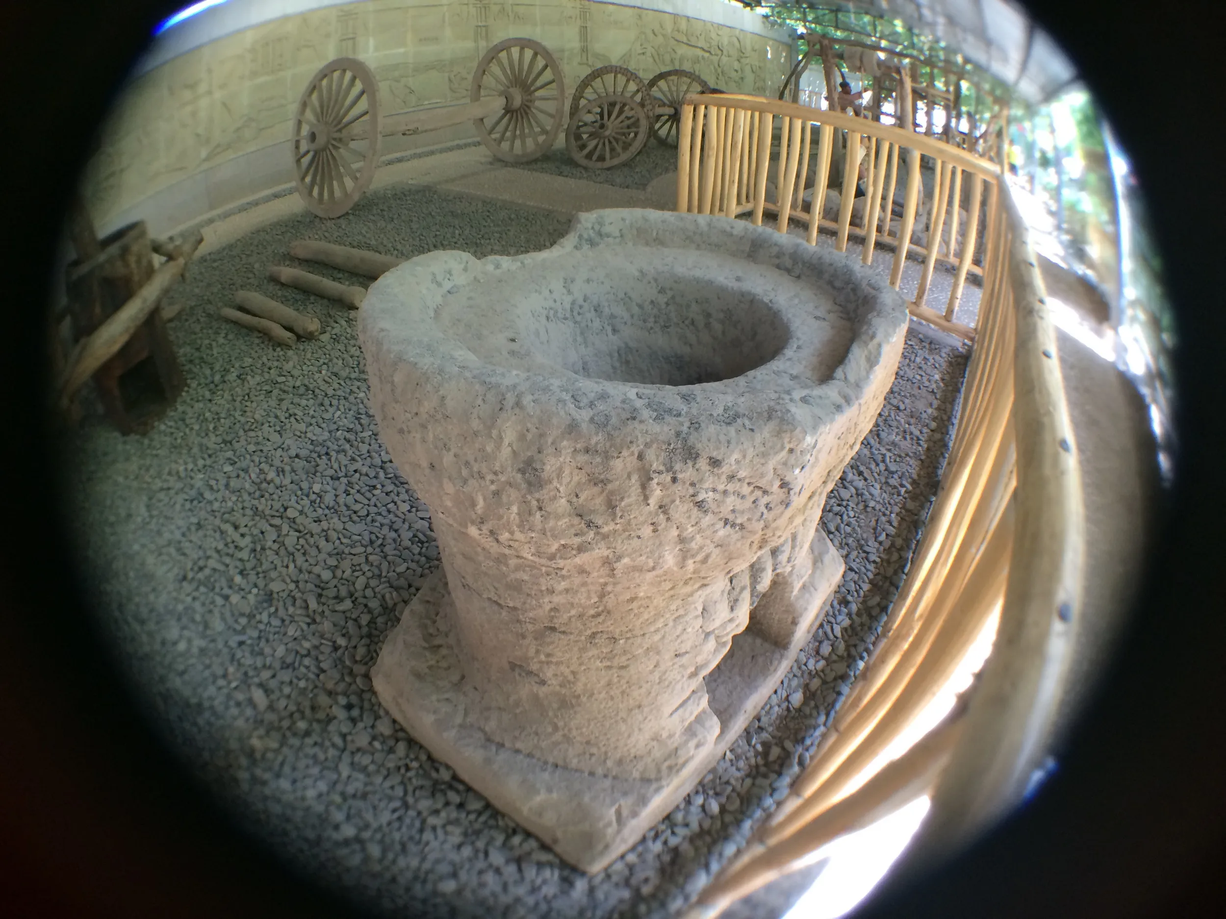 カレーズ楽園の展示