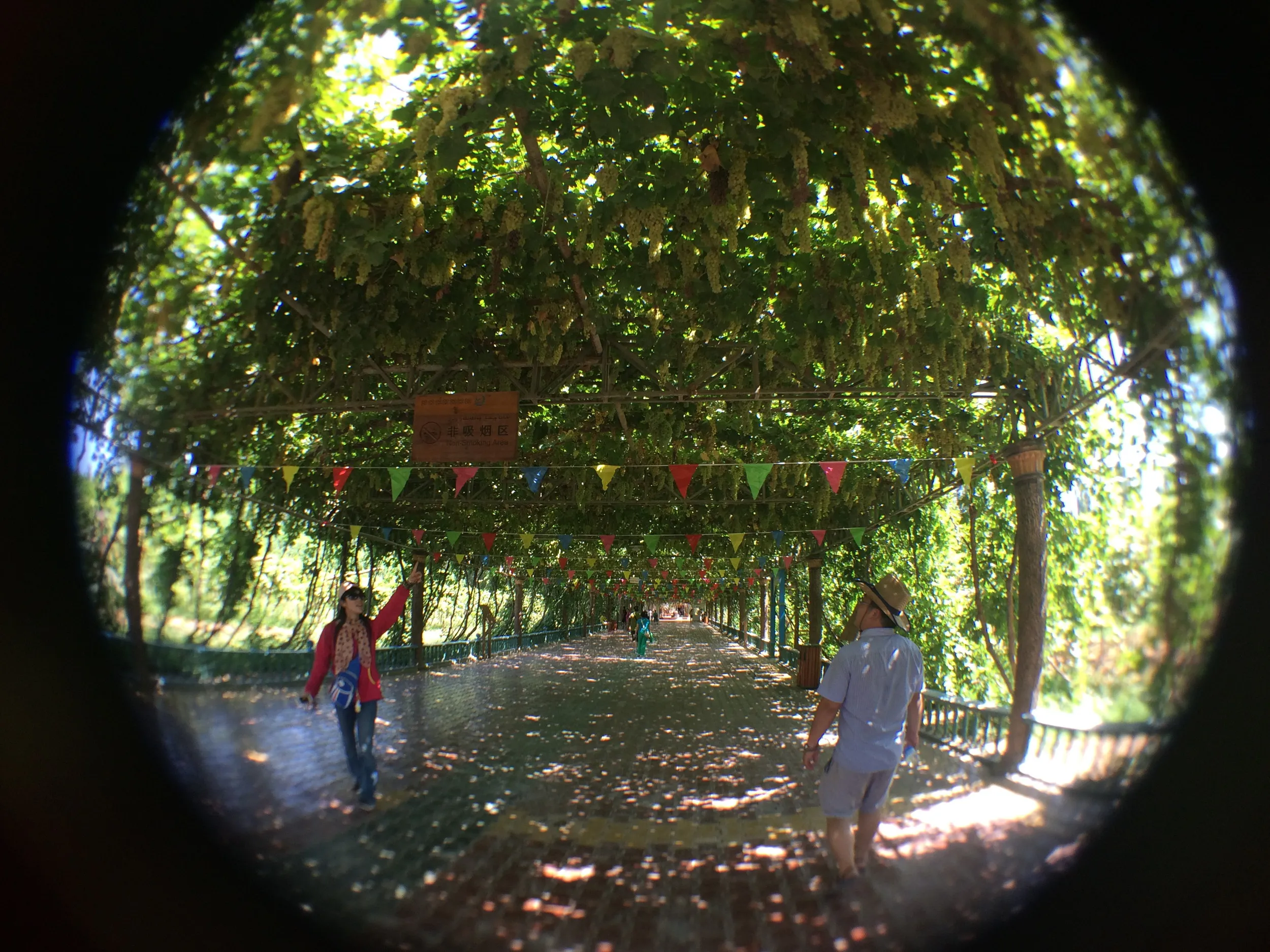 カレーズ博物館の風景