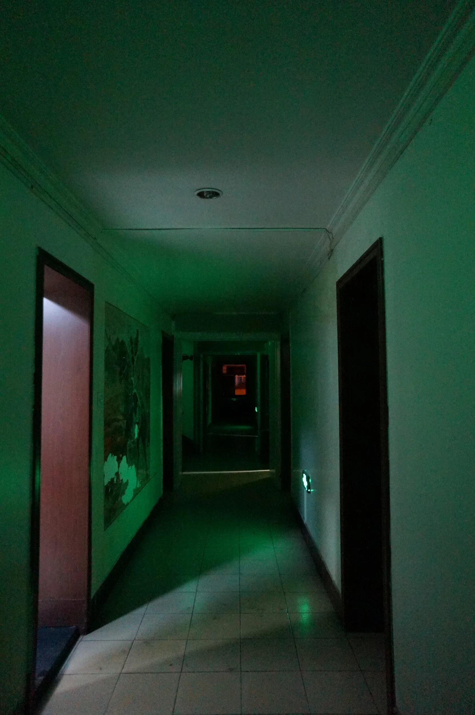 雷鳥国際青年旅舎