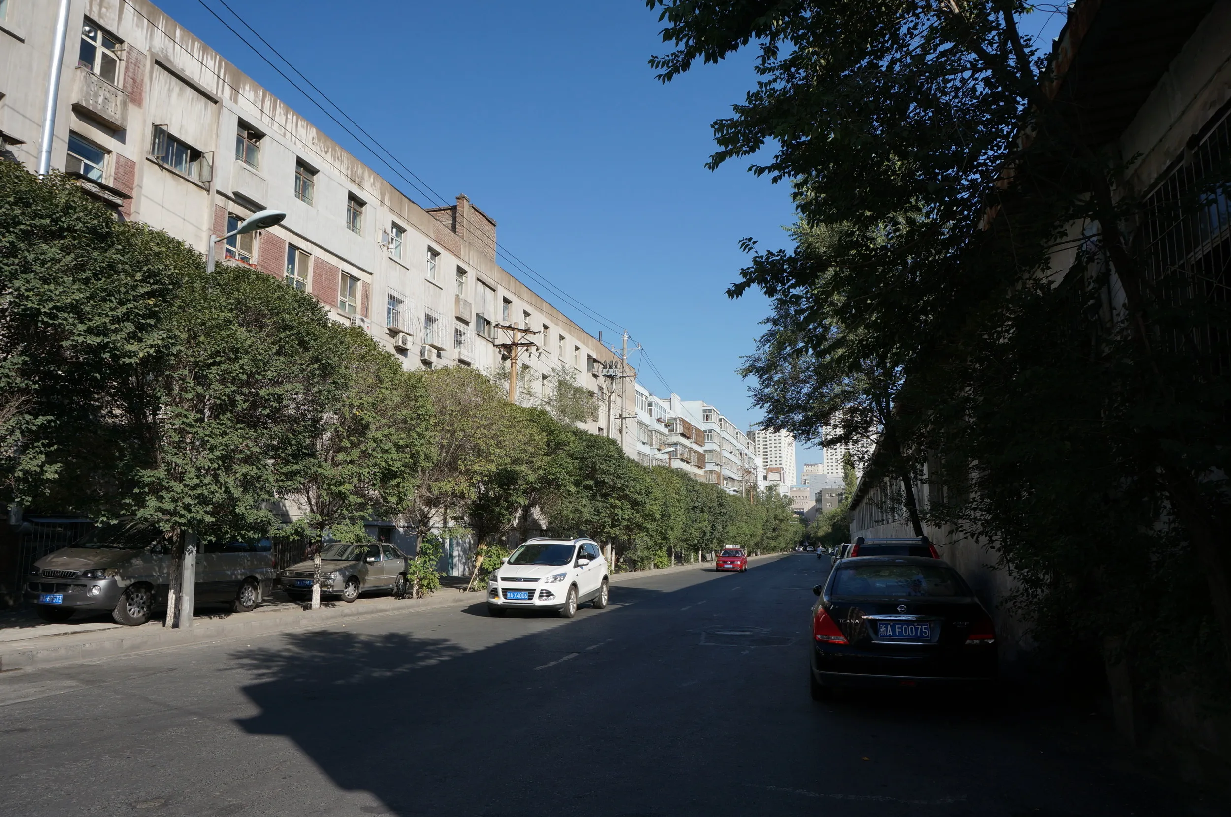 紅山公園へ向けて出発