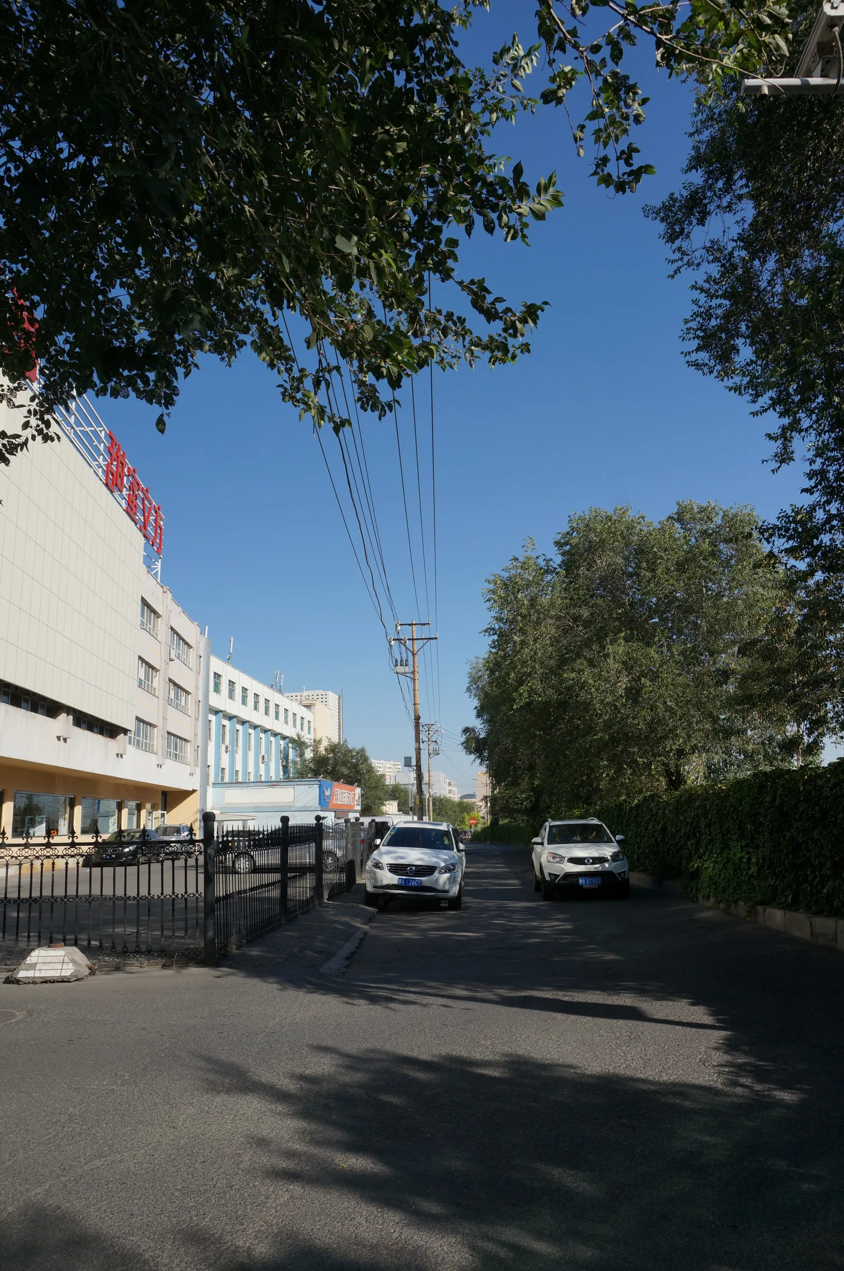 紅山公園へ向けて出発