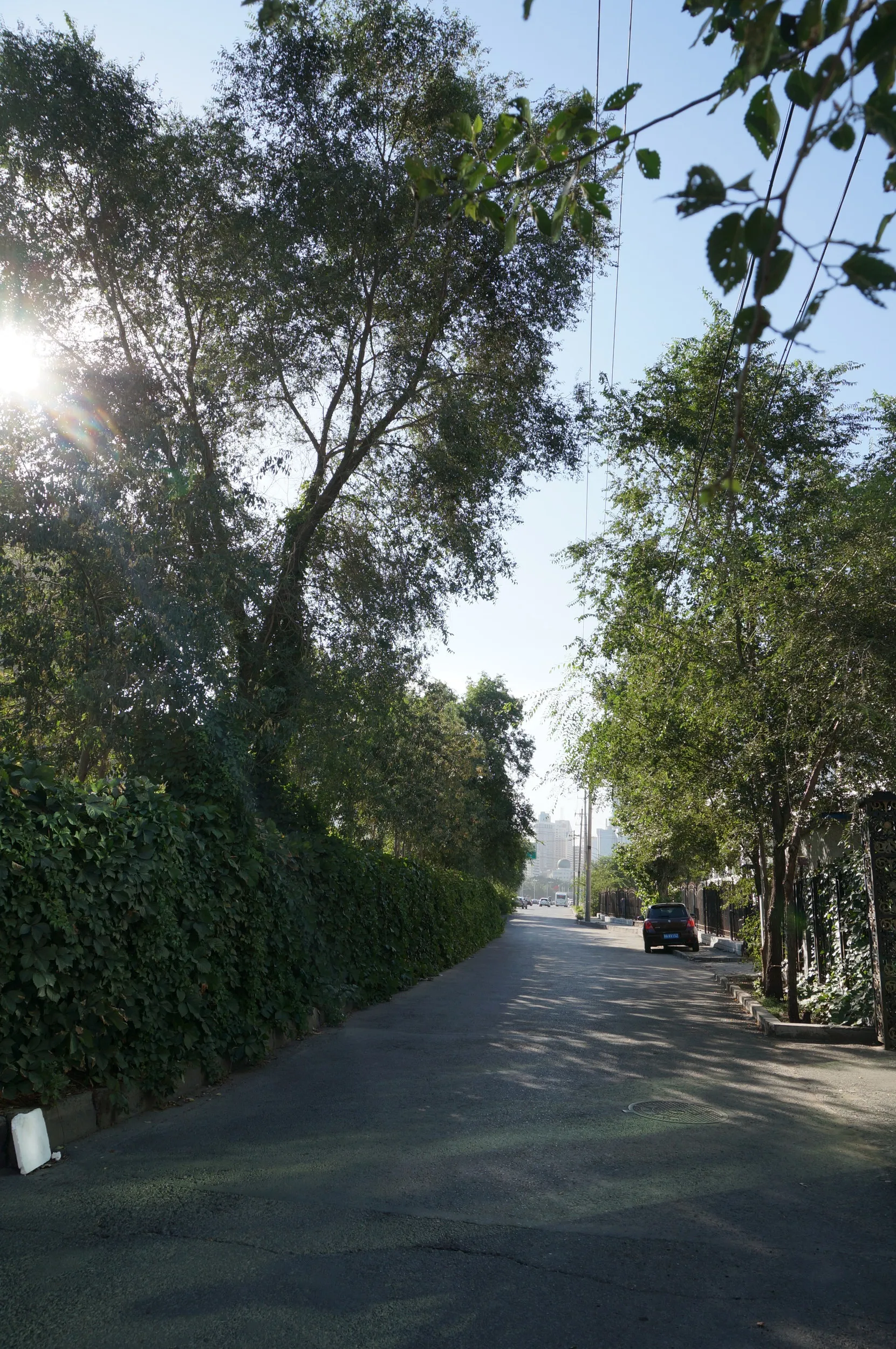 紅山公園へ向けて出発