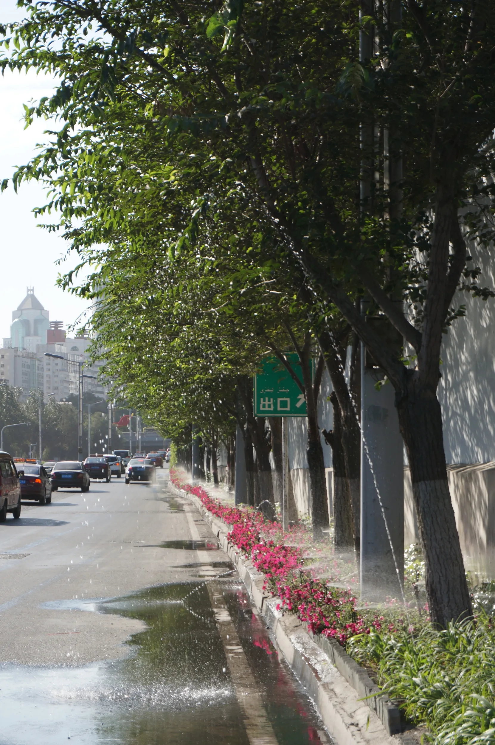 紅山公園へ向けて出発