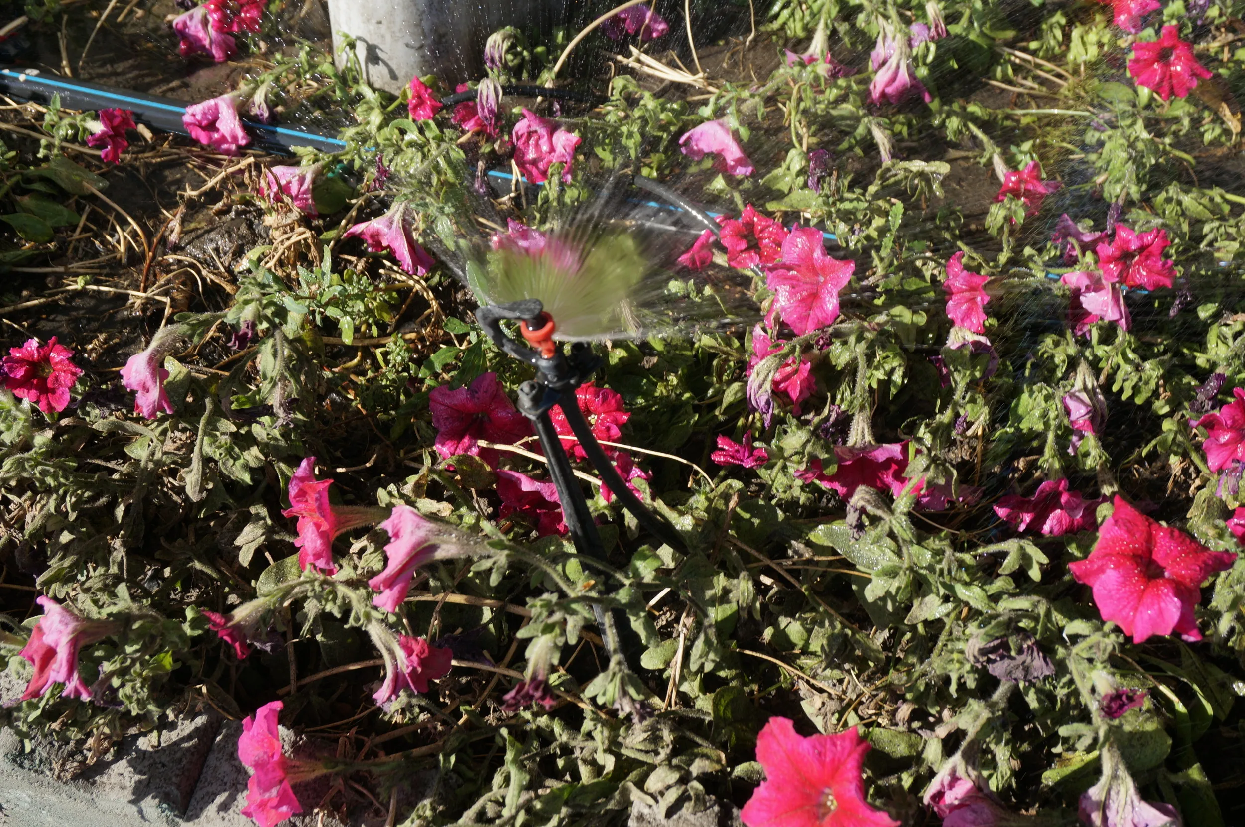 紅山公園へ向けて出発