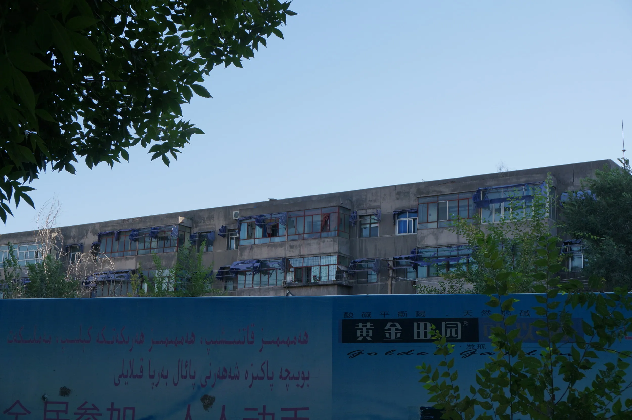 紅山公園傍、紅山路のマンション