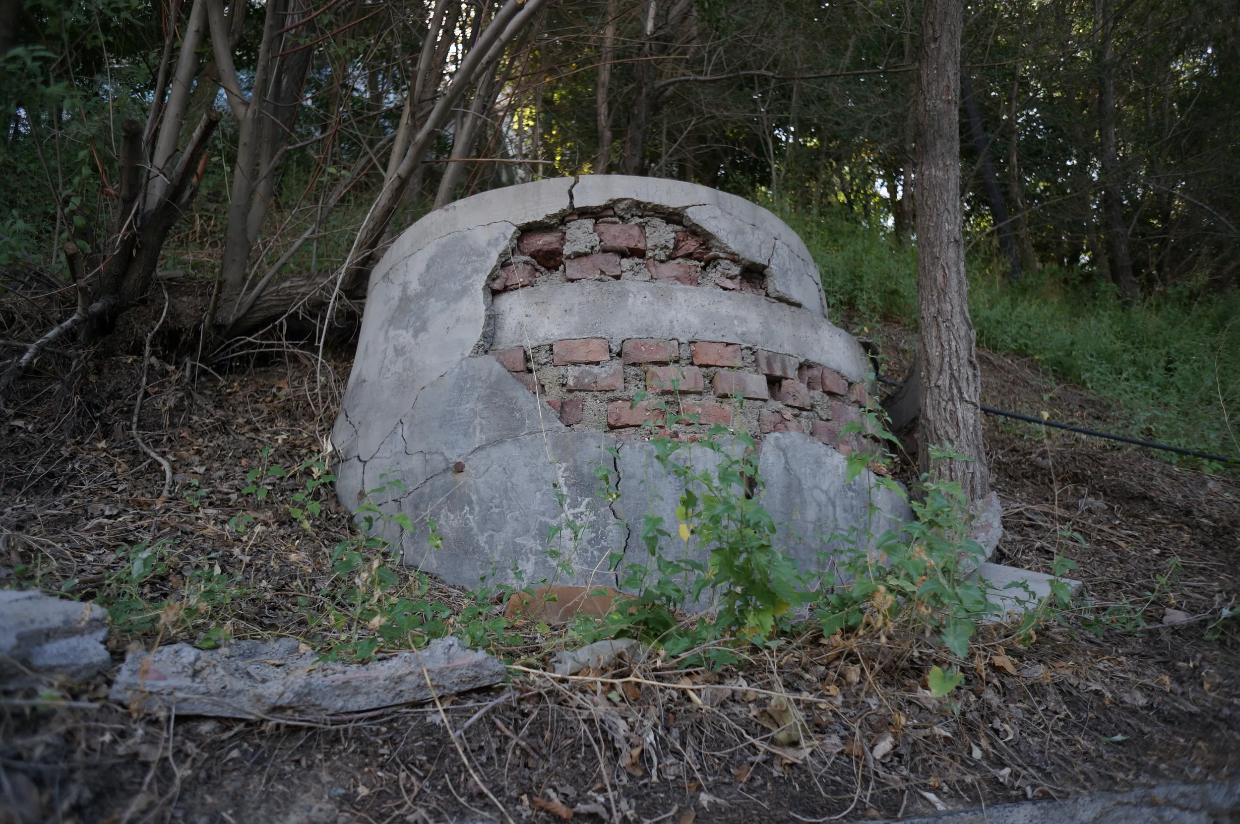 紅山公園を散歩しつつ観光