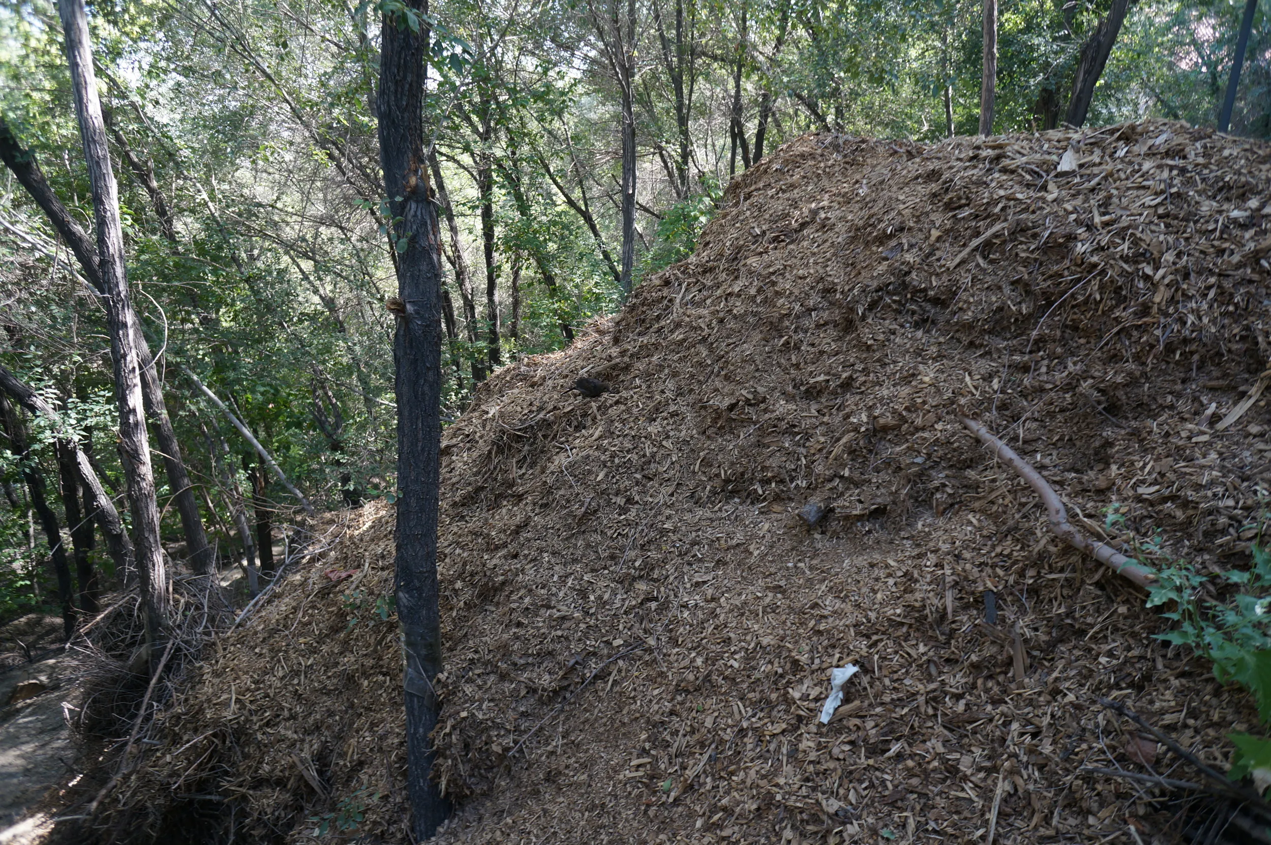 紅山公園を散歩しつつ観光