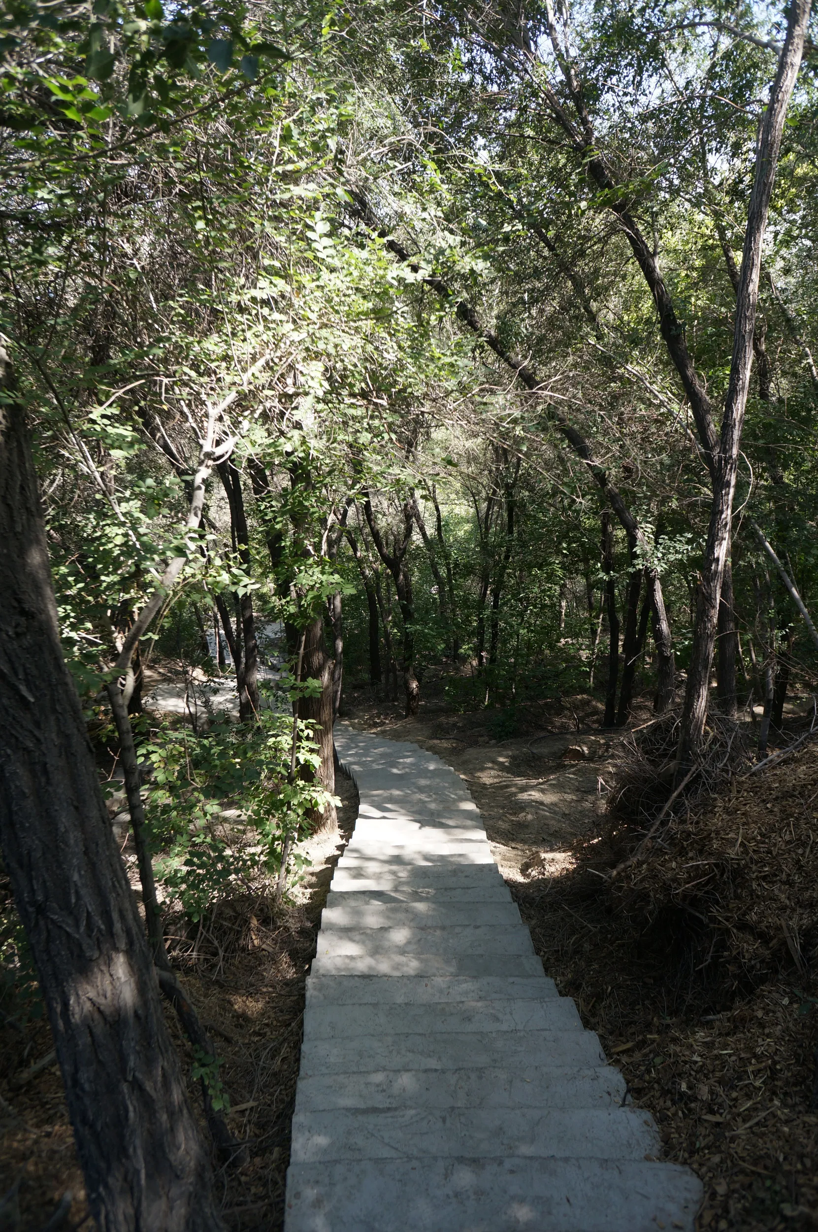 紅山公園を散歩しつつ観光