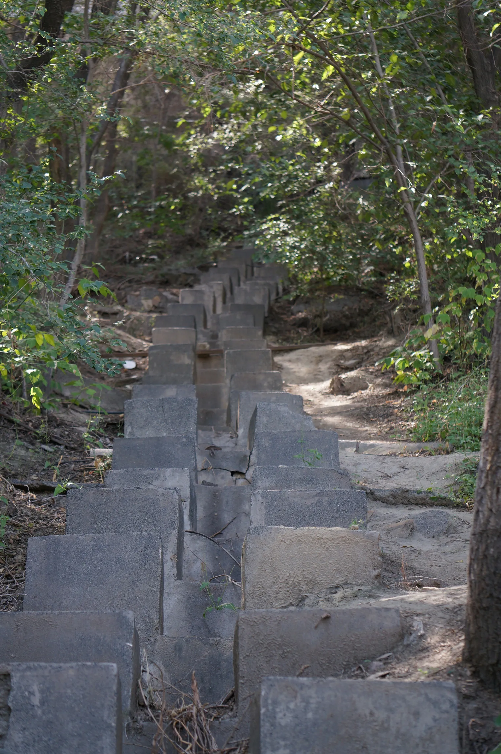 紅山公園を散歩しつつ観光