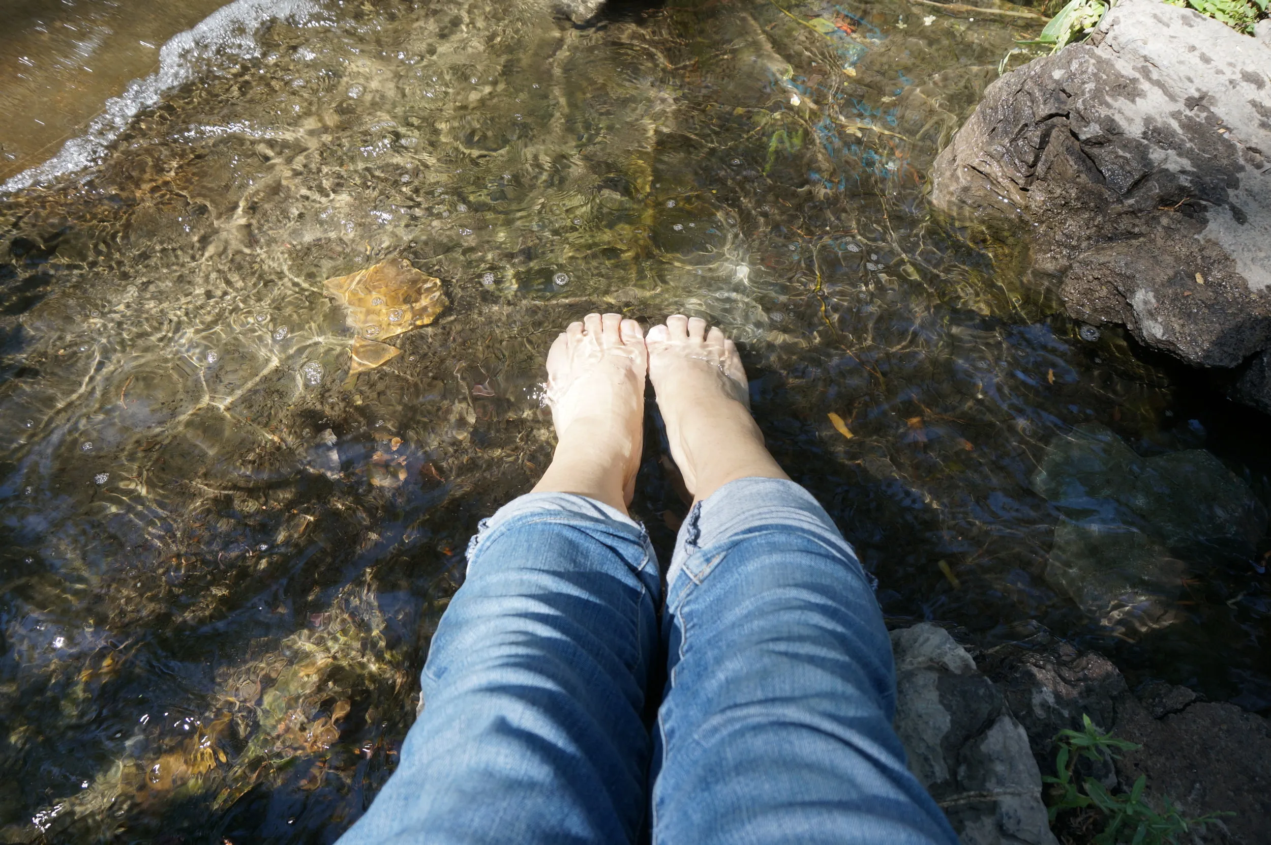 川で足を浸して涼むｗ