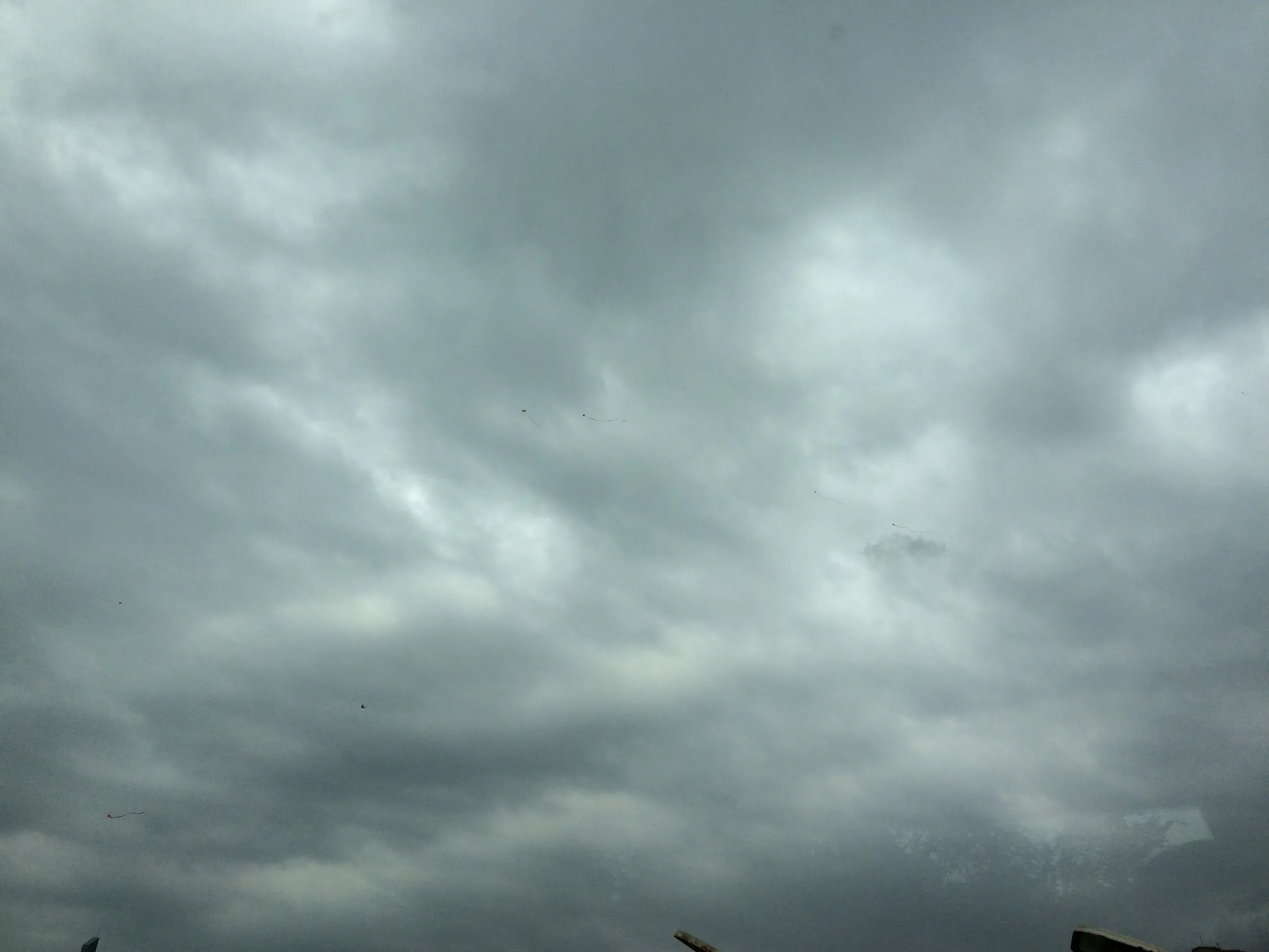 水磨溝公園へ向かうバスと車窓