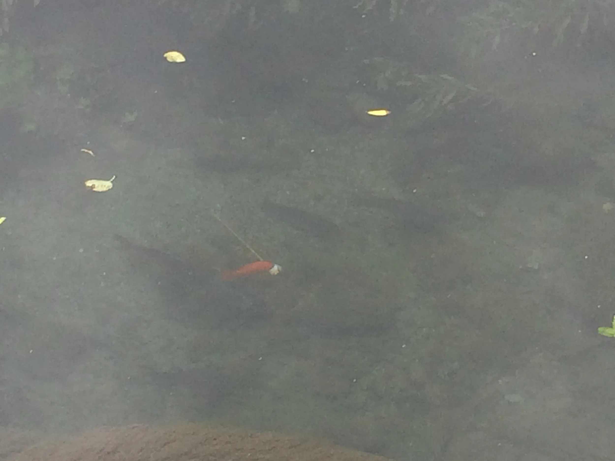 水磨溝公園周辺