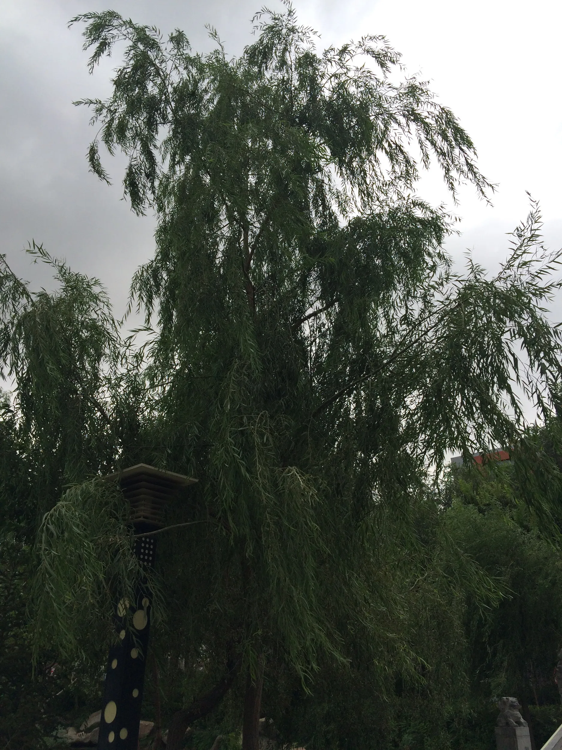 水磨溝公園周辺