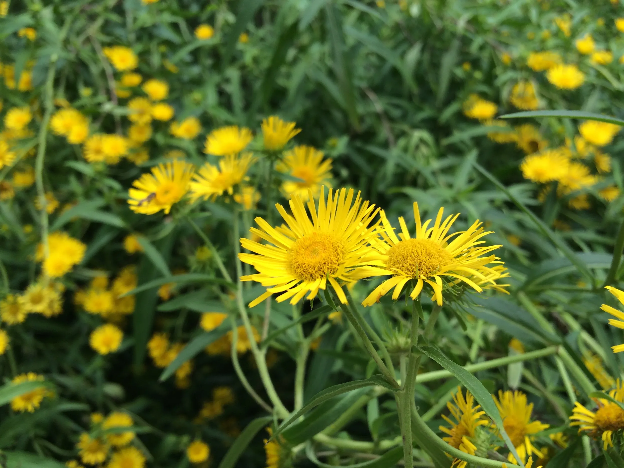 水磨溝公園周辺