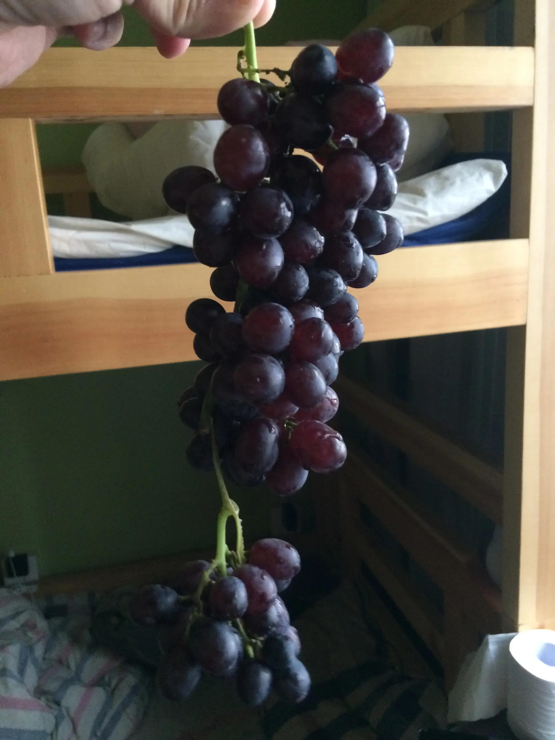 ユースホステルでの交流