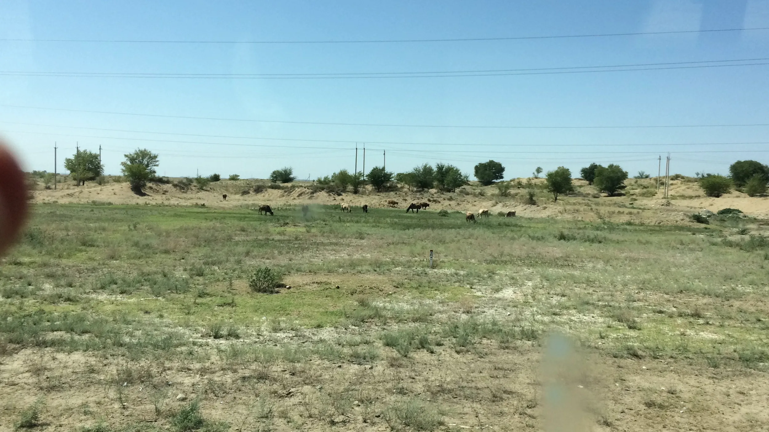 アルマトイへ向けて出発