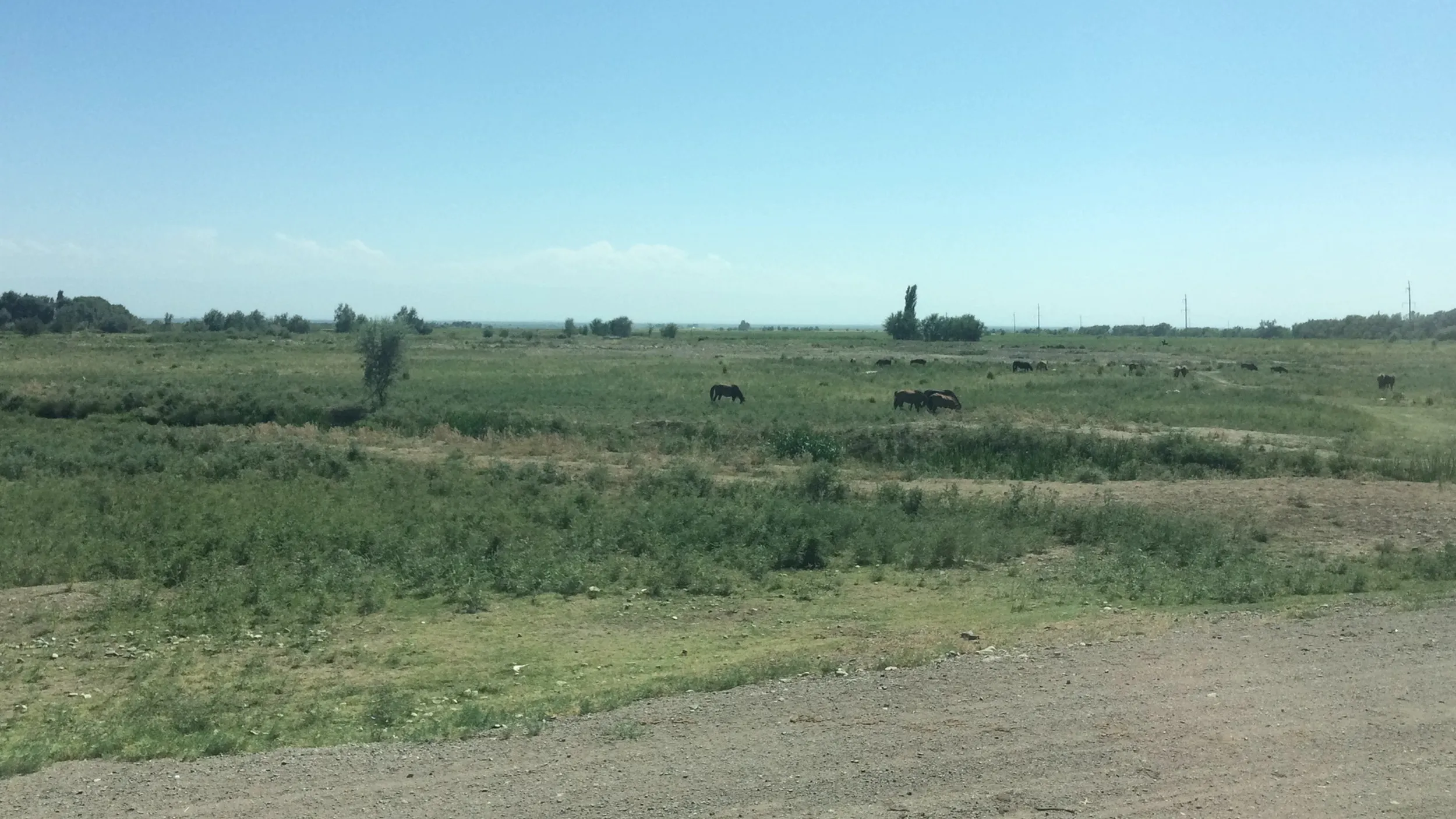 ジャルケント（Жаркент）、コクタル（Көктал）郊外の風景