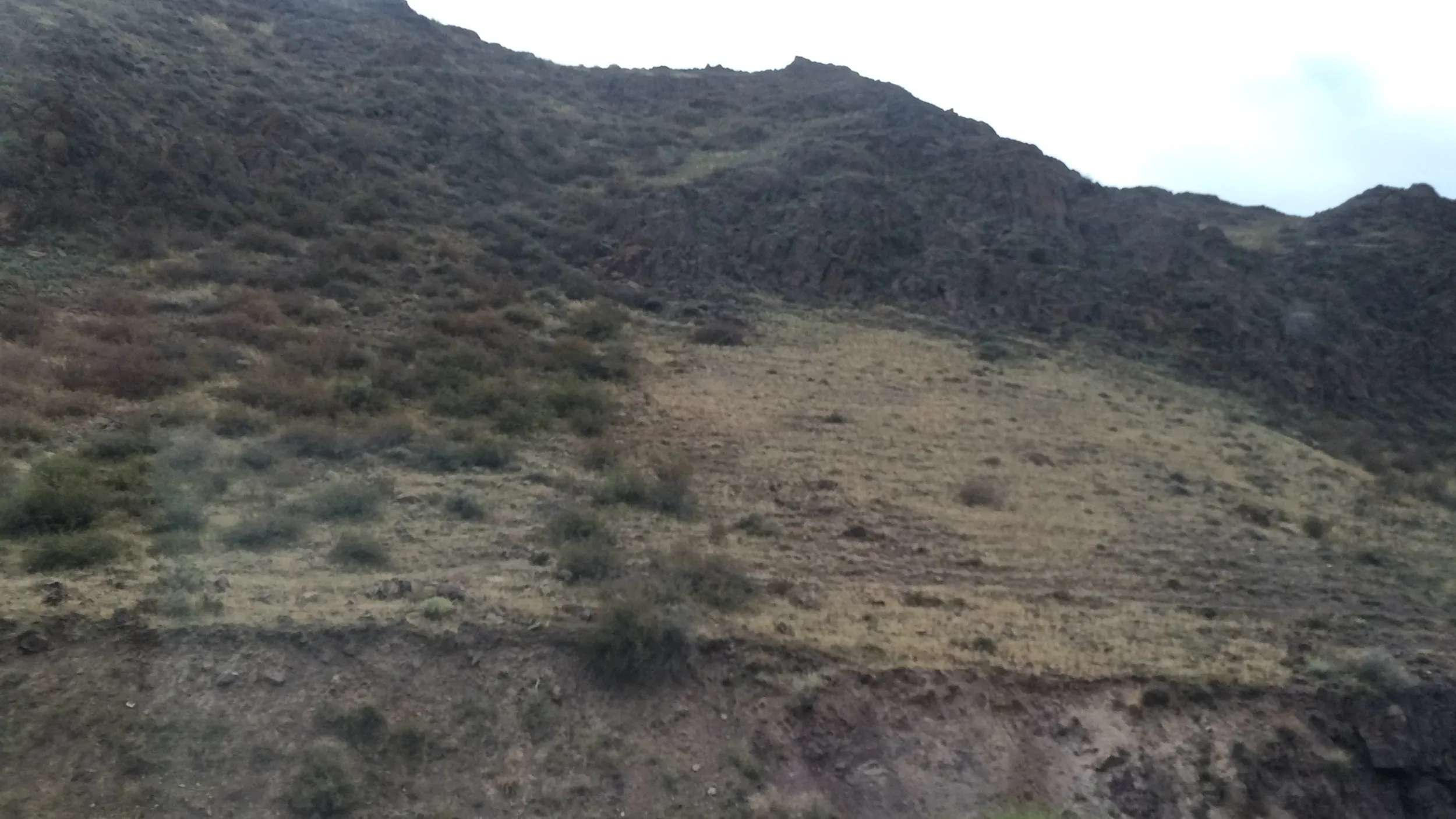 アルマトイ間の車窓風景