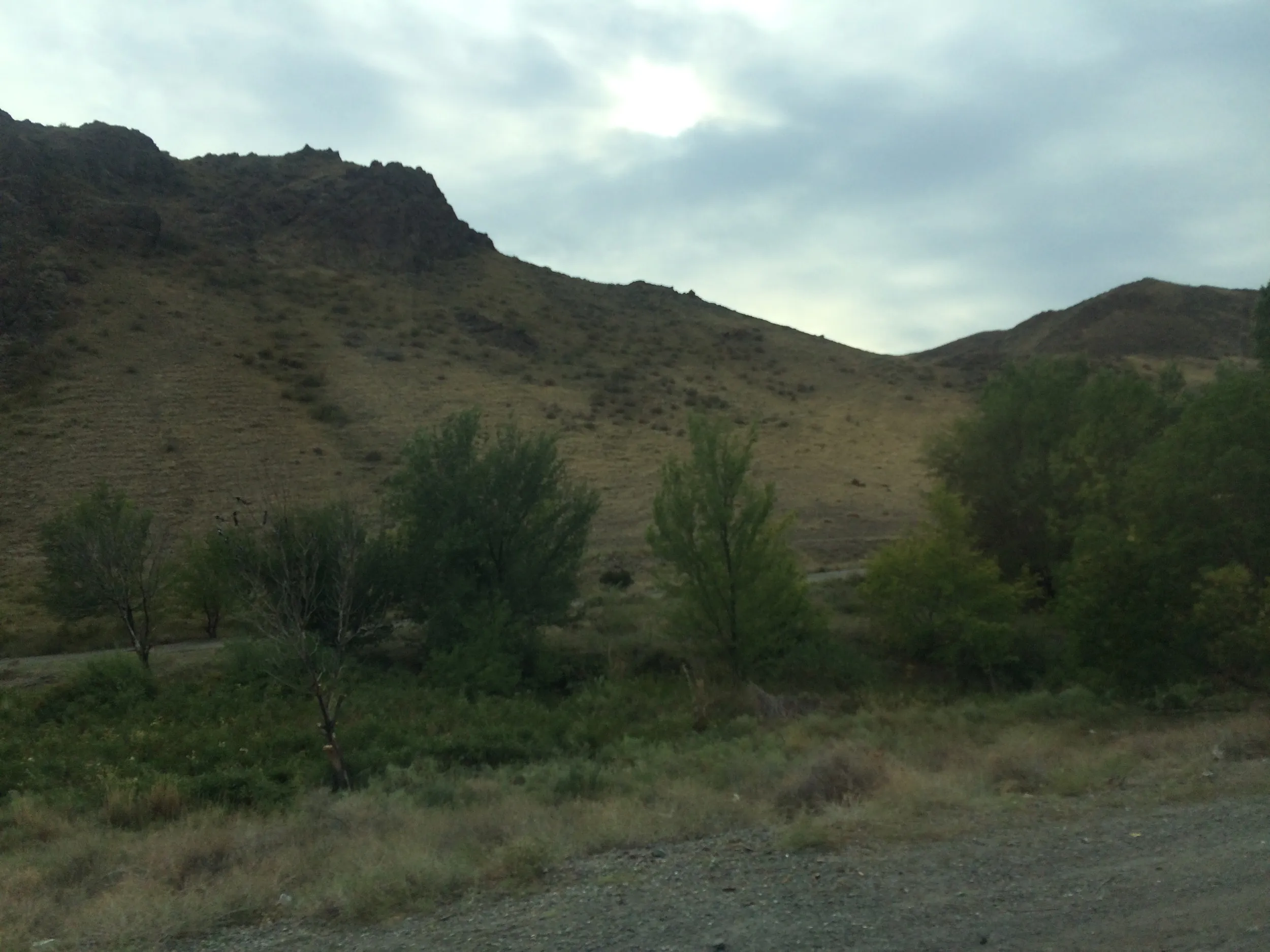 コクペク（Кокпек）郊外～アルマトイ間の車窓風景