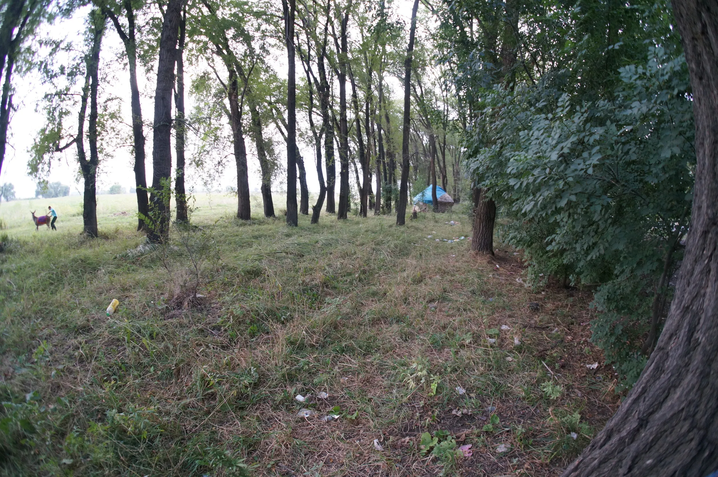 エフゲニエフカ（Евгеньевка）付近で小休憩