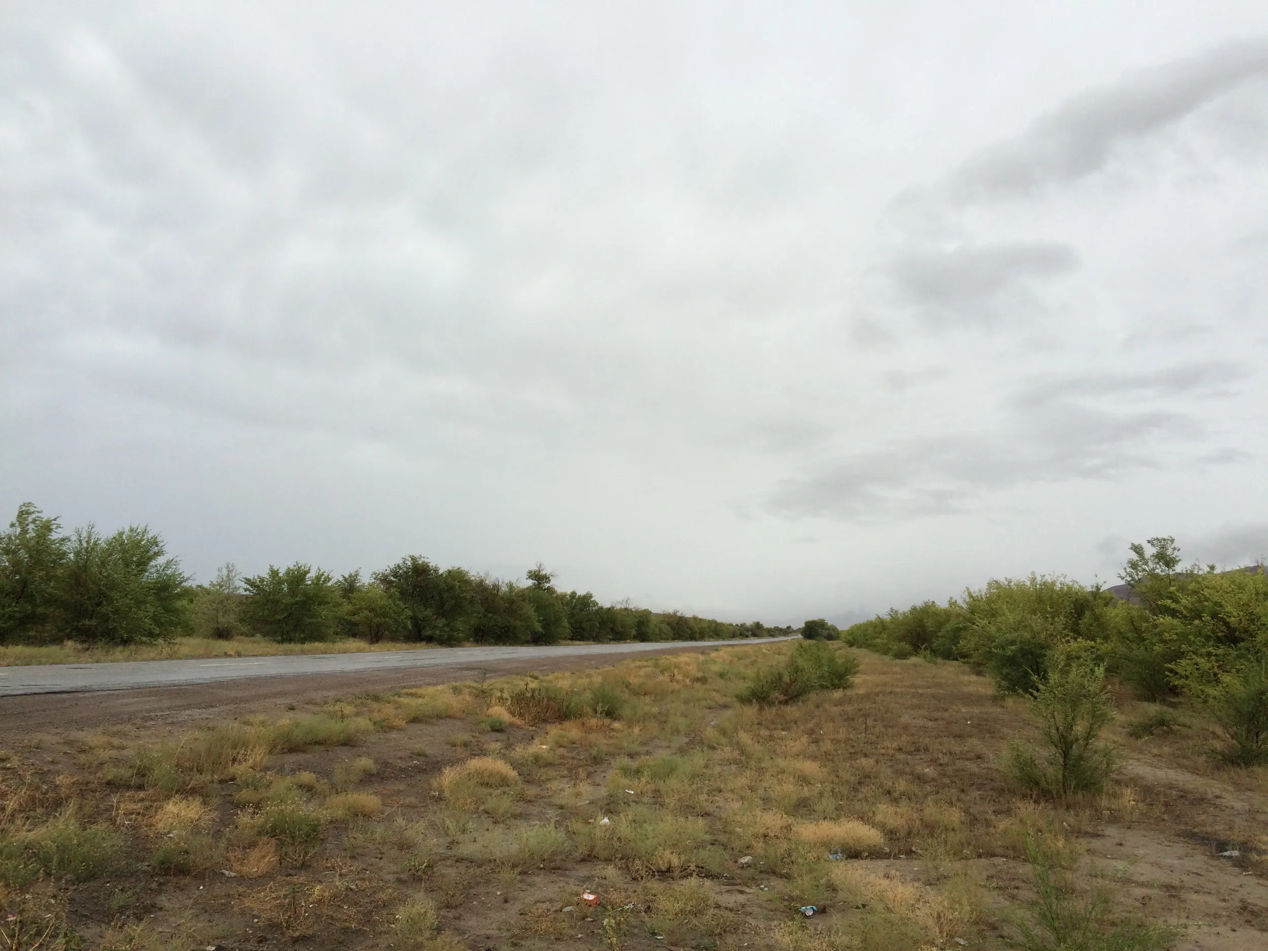 雨の砂漠で小休憩