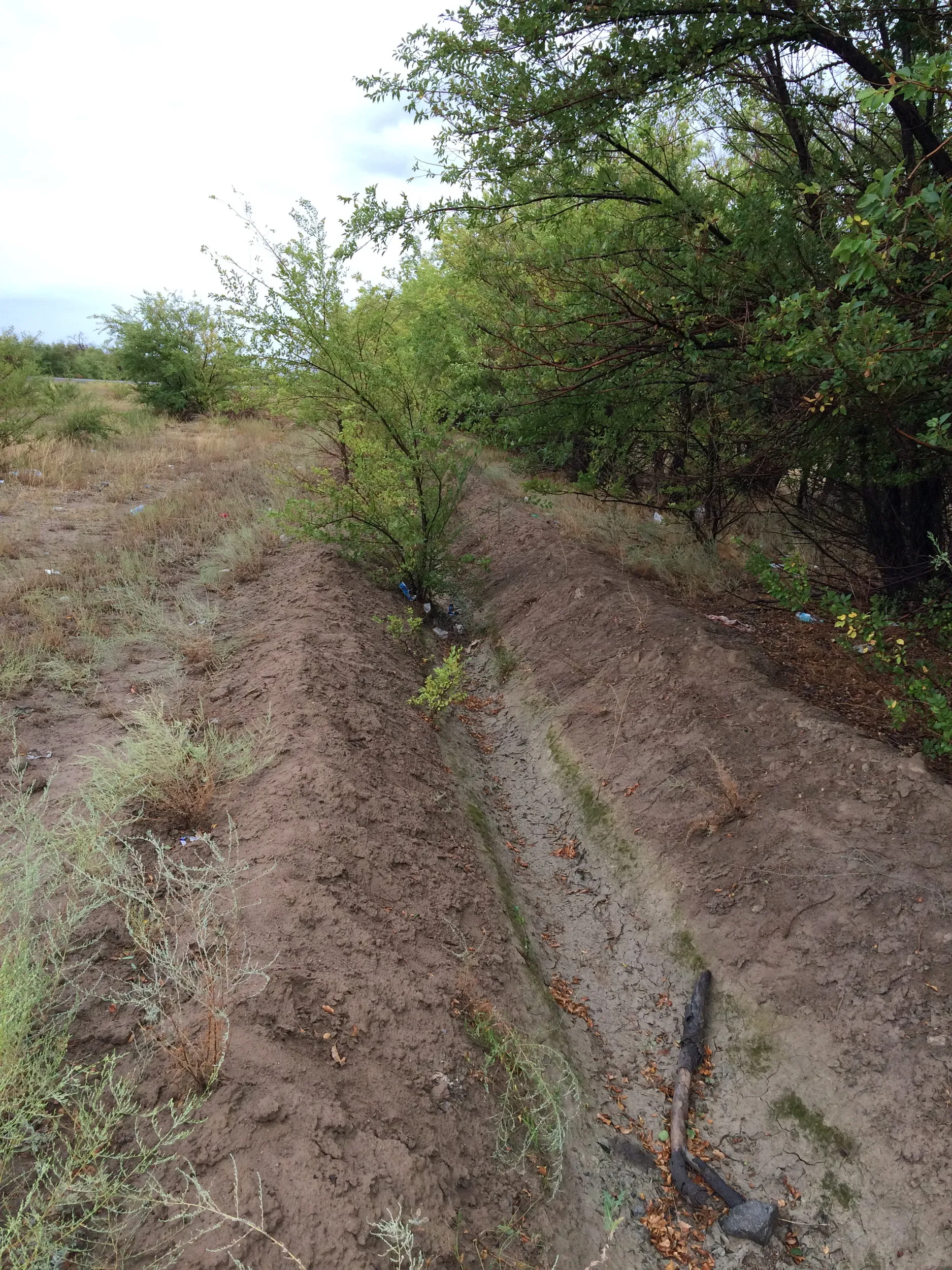 雨の砂漠で小休憩