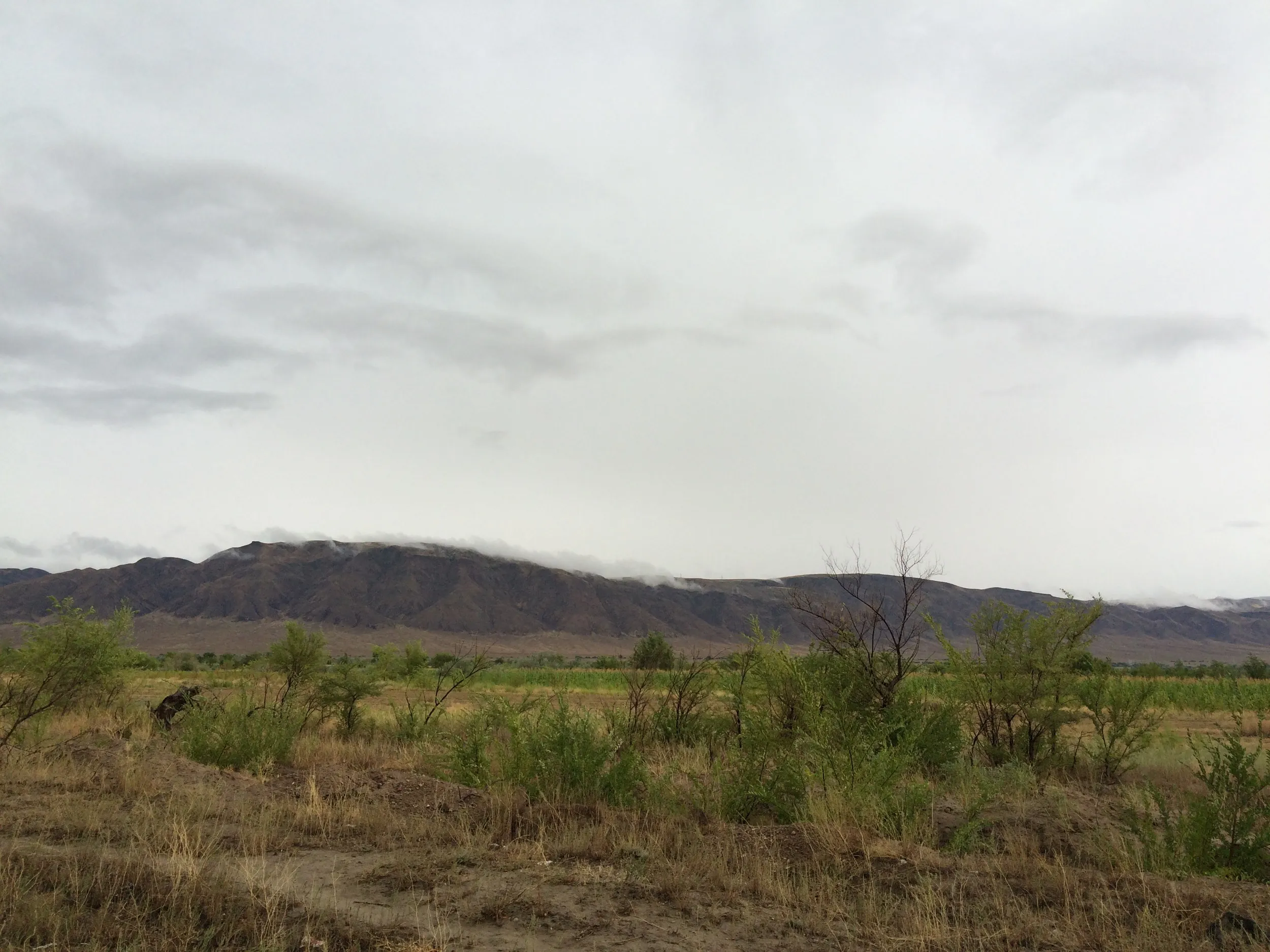 雨の砂漠で小休憩