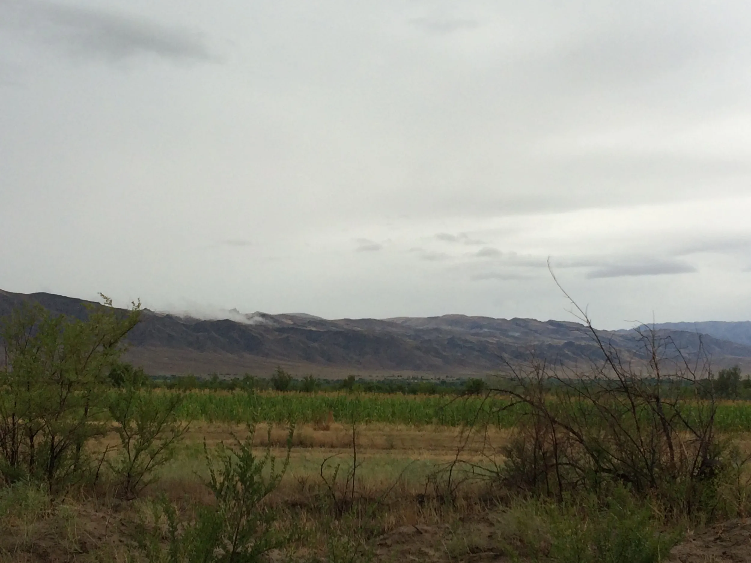 雨の砂漠で小休憩