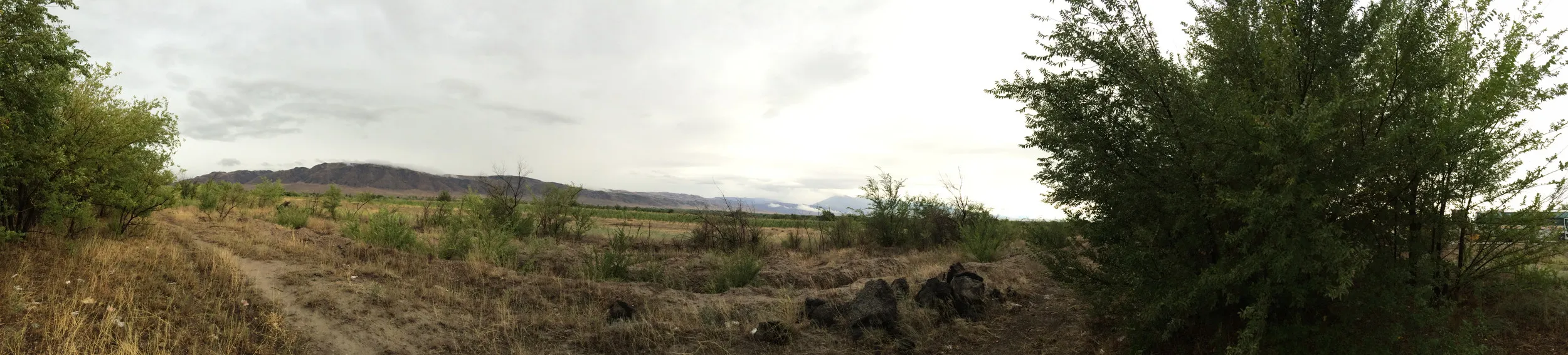 雨の砂漠、農地をパノラマ撮影