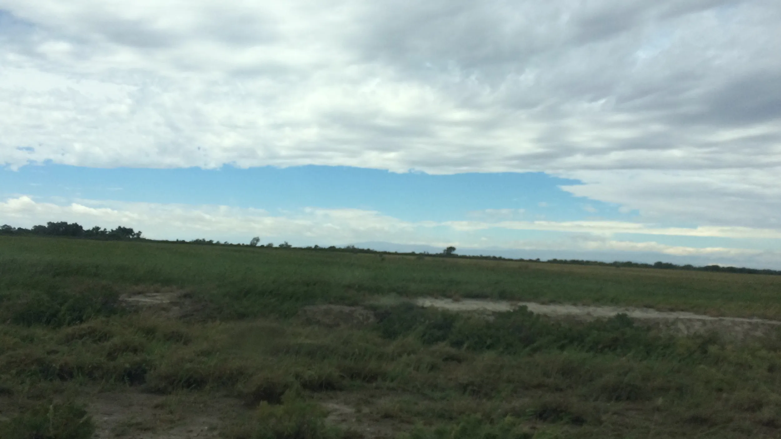 カフェ周辺の風景
