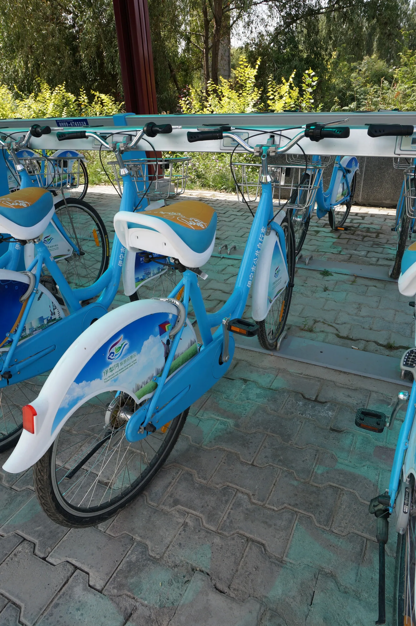 レンタルサイクル、自転車