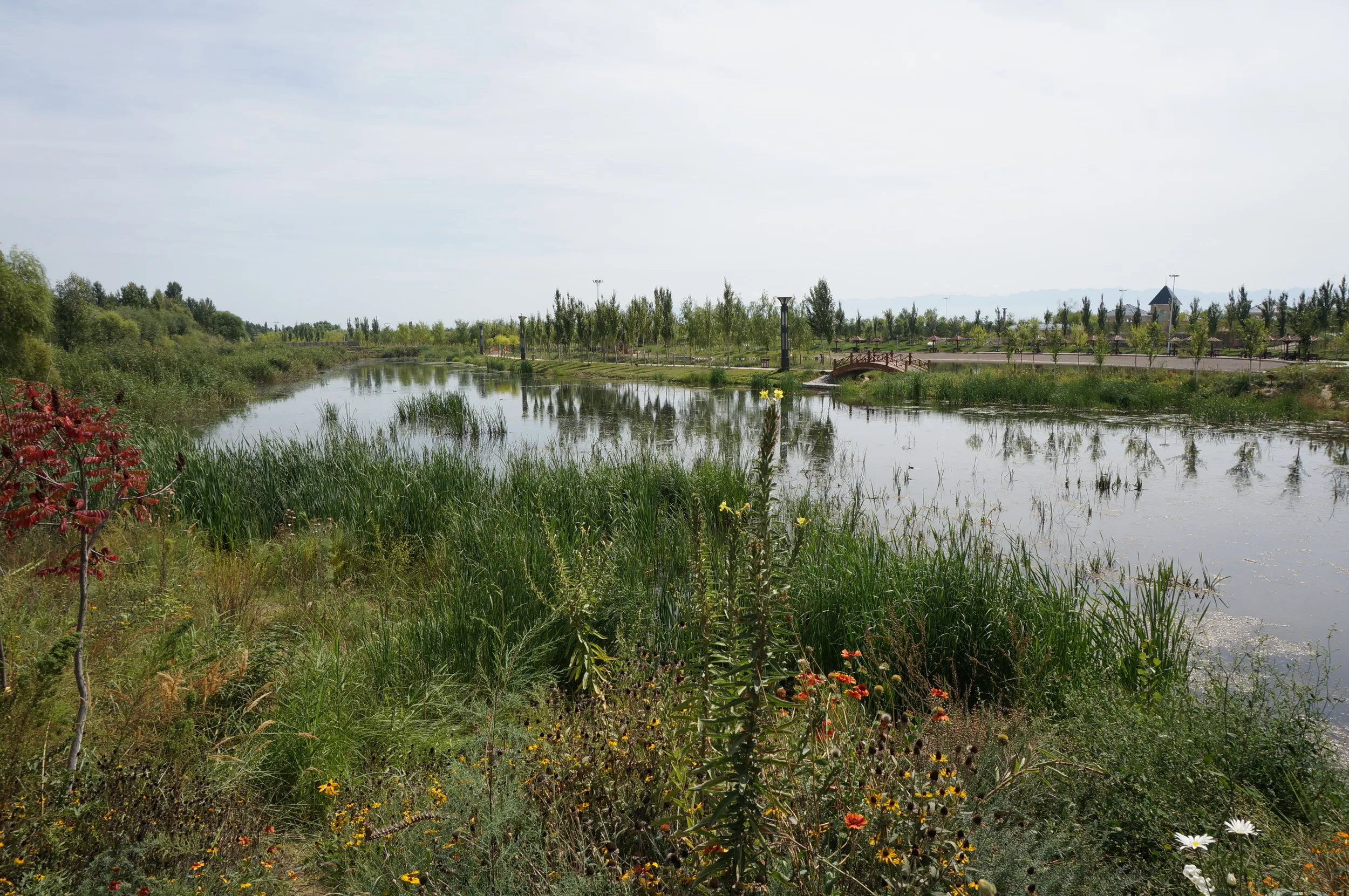 イリ河大橋（新橋）の沼地