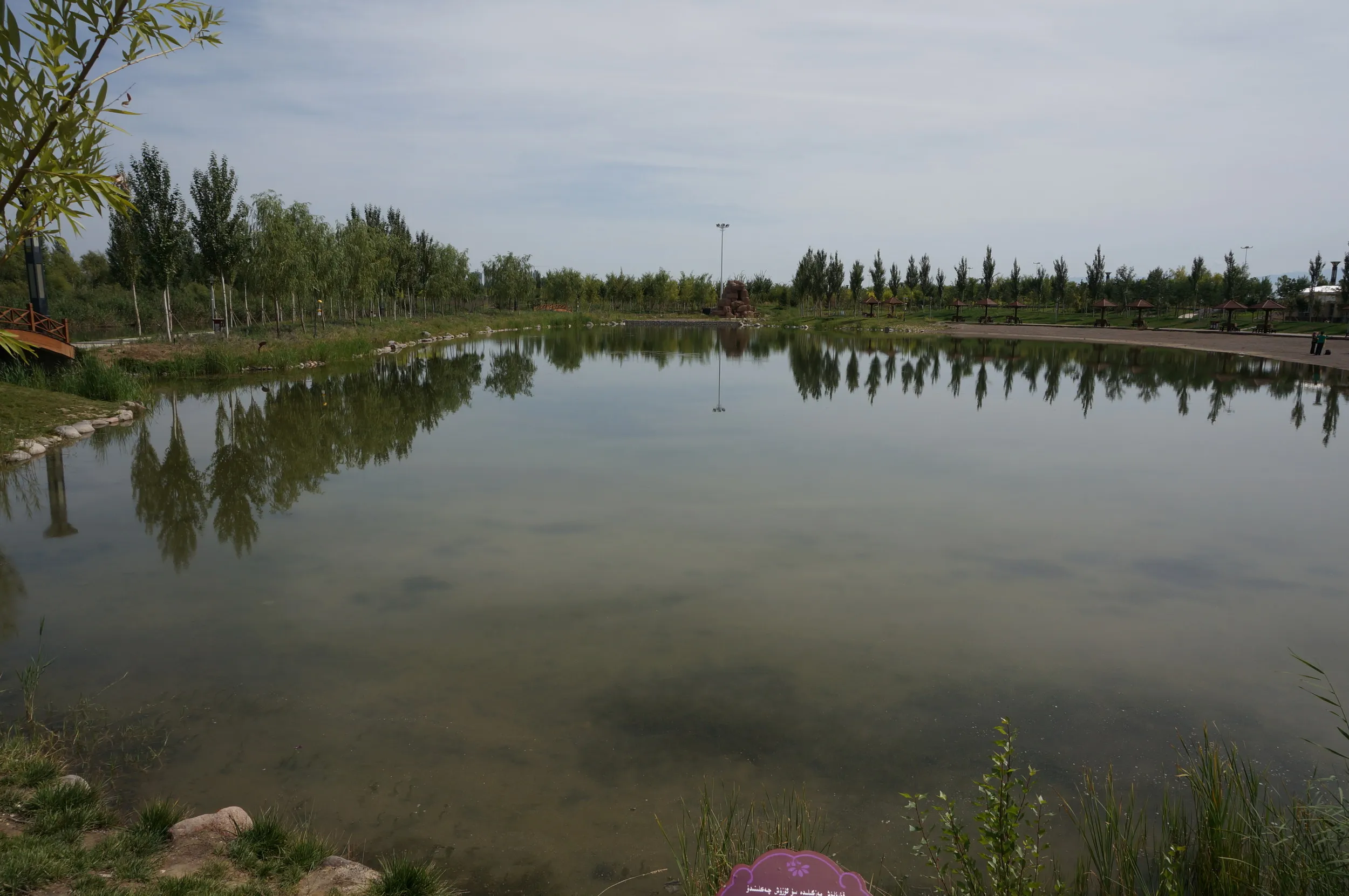 イリ河大橋（新橋）の沼地